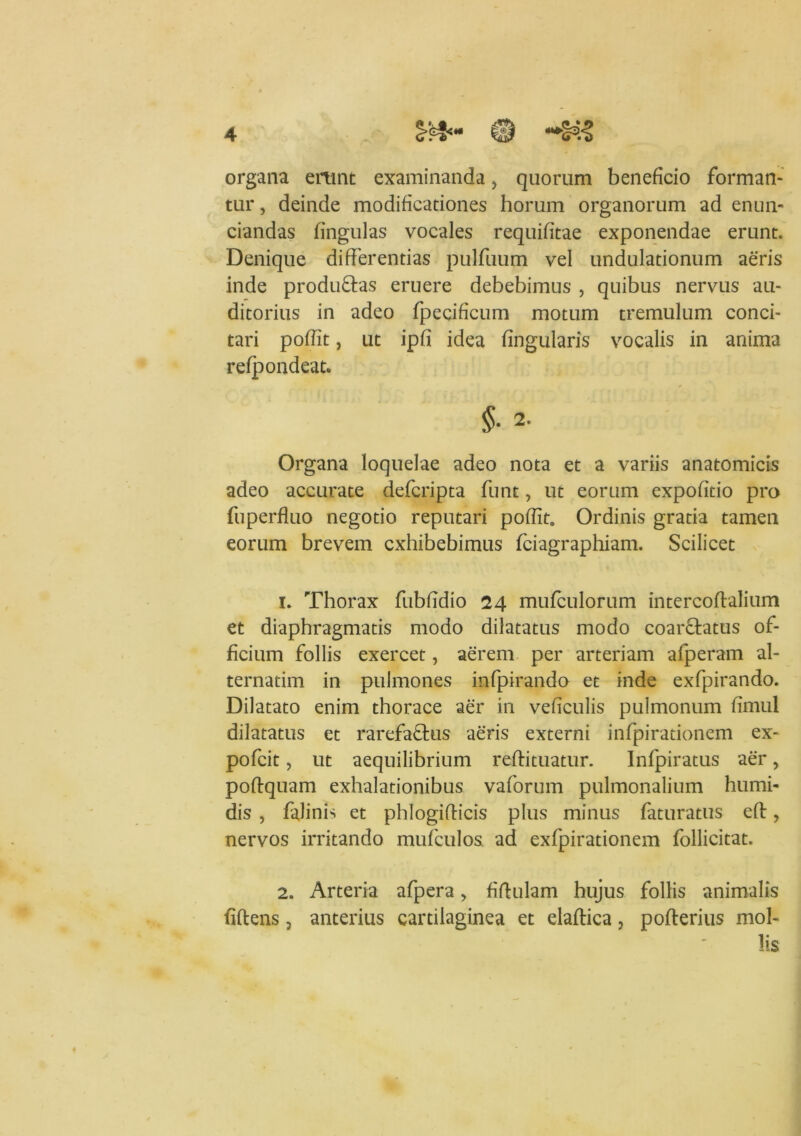 organa erunt examinanda, quorum beneficio forman- tur , deinde modificationes horum organorum ad enun- ciandas fingulas vocales requifitae exponendae erunt. Denique differentias pulfuum vel undulationum aeris inde produ&as eruere debebimus , quibus nervus au- ditorius in adeo fpecificum motum tremulum conci- tari poffit, ut ipfi idea fingularis vocalis in anima refpondeat. §■ 2- Organa loquelae adeo nota et a variis anatomicis adeo accurate defcripta funt, ut eorum expofitio pro fuperfluo negotio reputari poffit. Ordinis gratia tamen eorum brevem exhibebimus fciagraphiam. Scilicet 1. Thorax fubfidio 24 mufculorum intercoffialium et diaphragmatis modo dilatatus modo coarftatus of- ficium follis exercet, aerem per arteriam afperam al- ternarim in pulmones infpirando et inde exfpirando. Dilatato enim thorace aer in veficulis pulmonum fimul dilatatus et rarefaftus aeris externi infpirationem ex- pofeit, ut aequilibrium reftituatur. Infpiratus aer, poftquam exhalationibus vaforum pulmonalium humi- dis , falinis et phlogiflicis plus minus faturatus eft > nervos irritando mufculos ad exfpirationem follicitat. 2. Arteria afpera > fidulam hujus follis animalis fiftens, anterius cartilaginea et elaftica, pofterius mol- lis