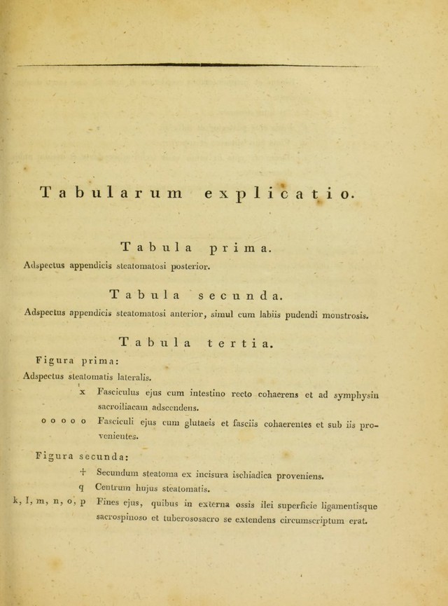 digitised image 3