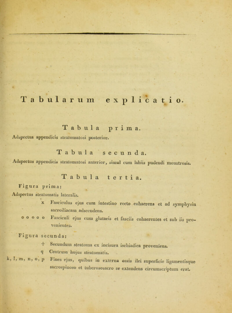 Tabularum explicatio. Tabula prima. *. Adspectus appendicis steatomatosi posterior. Tabula secunda. Adspectus appendicis steatomatosi anterior, simul cum labiis pudendi monstrosis. Tabula tertia. Figura prima: Adspectus steatomatis lateralis. i x t asciculus ejus cum intestino recto coliaerens et ad sympbysiu sacroiliacam adscendens. o o o o o Fasciculi ejus cum glutaeis et fasciis cohaerentes et sub iis pro- venientes. Figura secunda: t Secundum steatoma ex incisura ischiadica proveniens, q Centrum hujus steatomatis. k, I, m, n, o, p Fines ejus, quibus in externa ossis ilei superficie ligamentisque saciospinoso et tuberososacro se extendens circumscriptum erat.