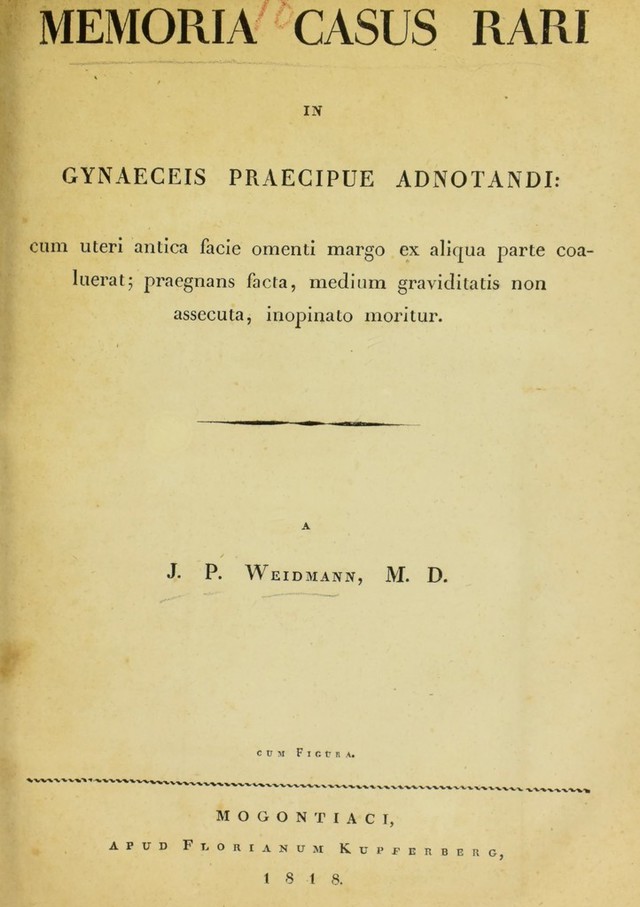 digitised image 1