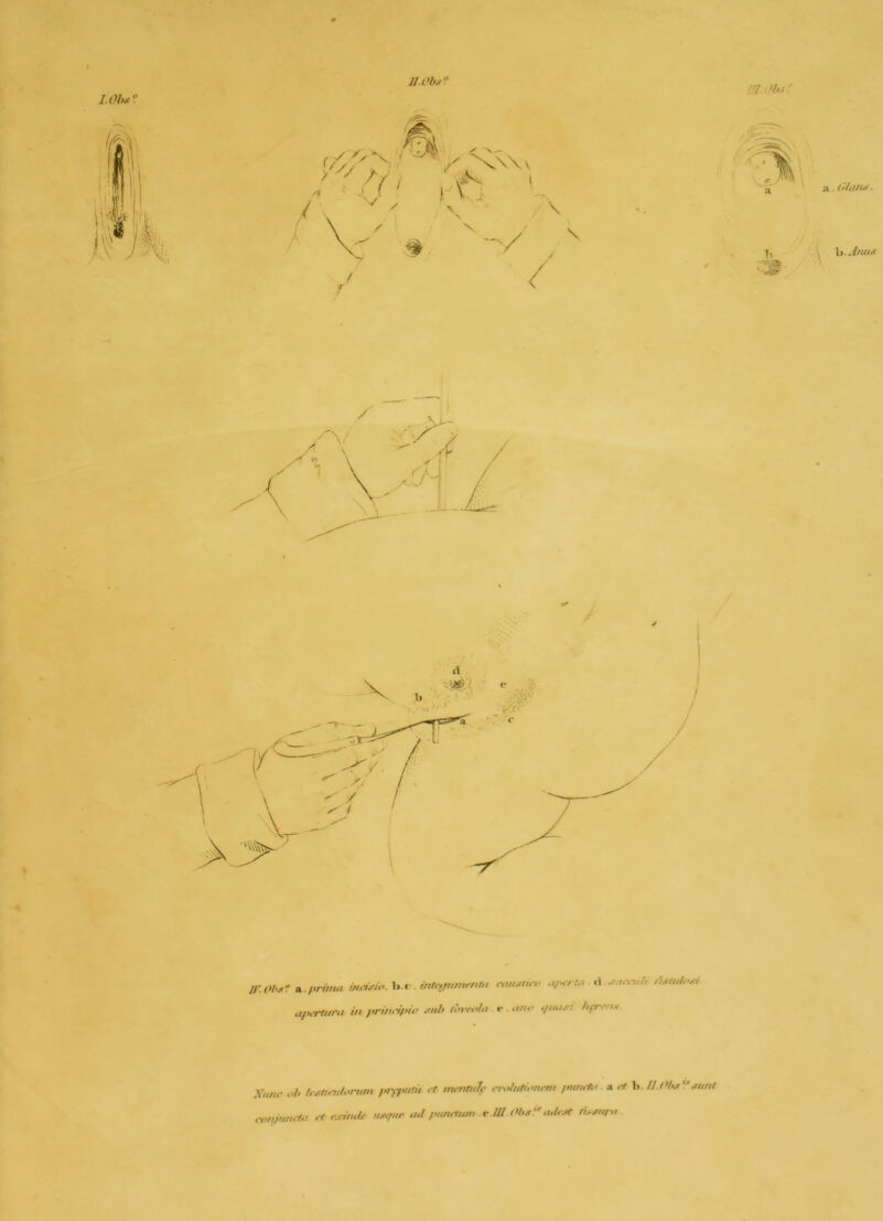 ly.Ob.'» A.firmiii INI -U-io. b.f' intitfumfUUi rtw.irtfo ,i/«rfirr4i in />rinrif>io .ml> roreolu e «no i/it.un hfrr. i.< Kunr ,>1‘ piyputii .t m.nttJc .■,;>/nti.>nrm » ,f b. n.<>/>s':\n,nt ronrtmt.J <t r.i-iiuie >t.-»jur ,ul piuu^tuw i^.Ul Ohs'.'n.-giirn .