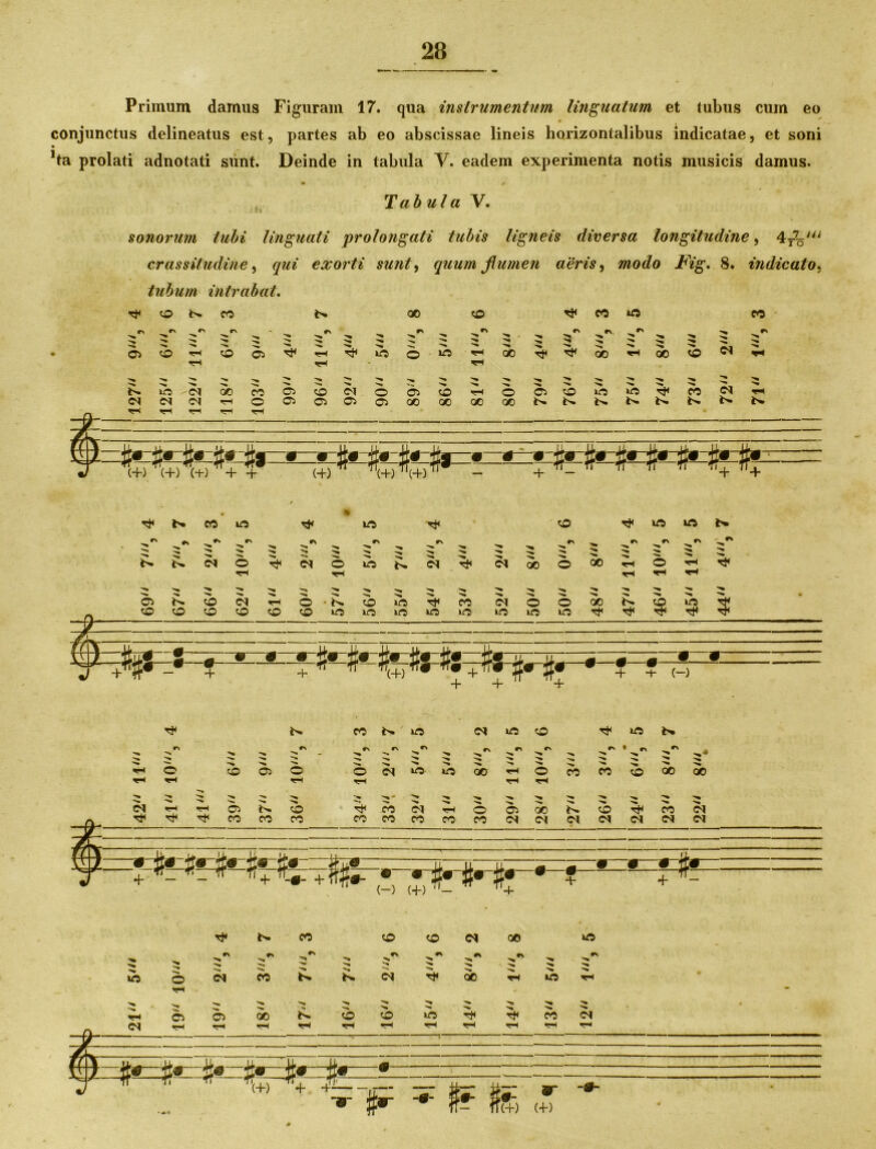 Primum damus Figuram 17. qua instrumentum linguatum et tubus cum eo conjunctus delineatus est, partes ab eo abscissae lineis horizontalibus indicatae, et soni Jta prolati adnotati sunt. Deinde in tabula V. eadem experimenta notis musicis damus. Tab ula V. sonorum tubi linguati prolongati tubis ligneis diversa longitudine, 4TV“ crassitudine, qui exorti sunt, quum flumen aeris, modo Fig. 8. indicato, tubum intrabat. ^ eo »> ^ *> QO © ^ M ifl ? ^ 5 PO ^ N M >rt r\ IA © (M <*> © <*> th ^ W N r r ^ > 2 ^ ^ ^ - © ^ ^ ©t>.©<N*H©-*>.©*ort<fO (MOOOOt^OiOTH ©©©©©©ij0>0i0k0»0 J -Ml + ■4* ”f t + + (-) © © o> © co t>. io> «\ r> « <N © © n «> Th © rs • cn ©CJtf5 tf3QO*rH©COeOOOOOO (N 05 © ^ ^ 't m m ro coMrocoroc^csi(MC^c^(N(N 4- + -