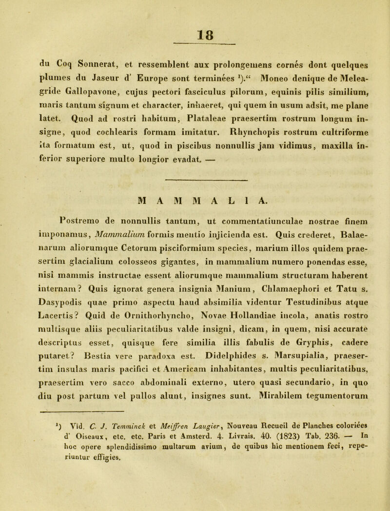 du Coq Sonnerat, et ressemblent aux prolongemens cornes dont quelques plumes du Jaseur d’ Europe sont terminees *).“ Moneo denique de Melea- gride Gallopavone, cujus pectori fasciculus pilorum, equinis pilis similium, maris tantum signum et character, inhaeret, qui quem in usum adsit, me plane latet. Quod ad rostri habitum, Plataleae praesertim rostrum longum in- signe, quod cochlearis formam imitatur. Rhynchopis rostrum cultriforme ita formatum est, ut, quod in piscibus nonnullis jam vidimus, maxilla in- ferior superiore multo longior evadat. — MAMMALIA. Postremo de nonnullis tantum, ut commentatiunculae nostrae finem imponamus, Mammalium formis mentio injicienda est. Quis crederet, Balae- narum aliorumque Cetorum pisciformium species, marium illos quidem prae- sertim glacialium colosseos gigantes, in mammalium numero ponendas esse, nisi mammis instructae essent aliorumque mammalium structuram haberent internam? Quis ignorat genera insignia Manium, Chlamaephori et Tatu s. Dasypodis quae primo aspectu haud absimilia videntur Testudinibus atque Lacertis? Quid de Ornithorhyncho, Novae Hollandiae incola, anatis rostro multisque aliis peculiaritatibus valde insigni, dicam, in quem, nisi accurate descriptus esset, quisque fere similia iliis fabulis de Gryphis, cadere putaret? Bestia vere paradoxa est. Didelphides s. Marsupialia, praeser- tim insulas maris pacifici et Americani inhabitantes, multis peculiaritatibus, praesertim vero sacco abdominali externo, utero quasi secundario, in quo diu post partum vel pullos alunt, insignes sunt. Mirabilem tegumentorum *) Vid, C. J. Tetnminck et Meiffren Laugier, Nouveau Recueil de Planches coloriees d’ Oiseaux, etc. etc. Paris et Amsterd. 4. Livrais. 40. (1823) Tab. 236. —■ Iu hoc opere splendidissimo multarum avium, de quibus hic mentionem feci, repe- riuntur effigies.