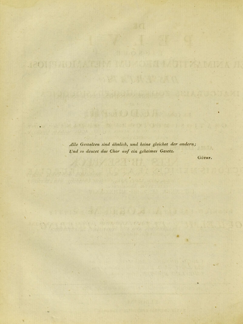 . / N Alie Gestalten sind dhnlich^ und keine gleichet der andern; JJnd so dcutet das Chor auf ein geheimes Gesetz, Gothf * I 41