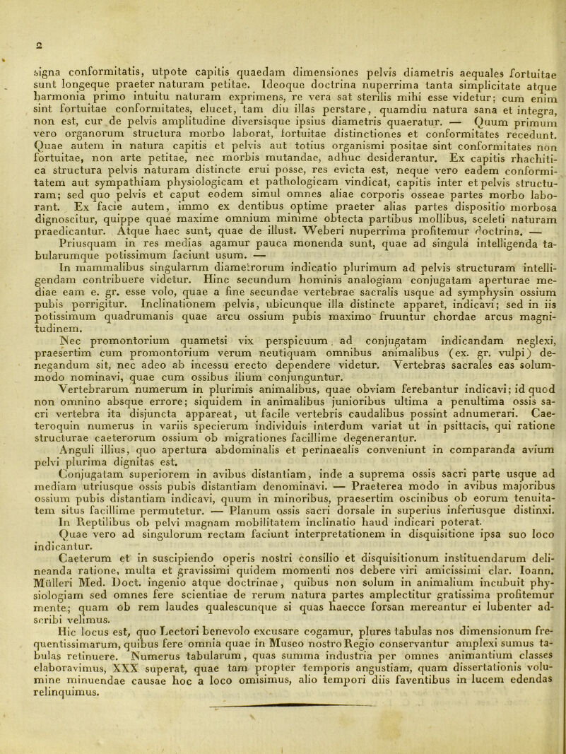 .signa conformitatis, utpote capitis quaedam dimensiones pelvis diametris aequales fortuitae sunt longeque praeter naturam petitae. Ideoque doctrina nuperrima tanta simplicitate atque harmonia primo intuitu naturam exprimens, re vera sat sterilis mihi esse videtur; cum enim sint fortuitae conformitates, elucet, tam diu illas perstare, quamdiu natura sana et integra, non est, cur de pelvis amplitudine diversisque ipsius diametris quaeratur. — Quum primum vero organorum structura morbo laborat, lortuitae distinctiones et conformitates recedunt. Quae autem in natura capitis et pelvis aut totius organismi positae sint conformitates non fortuitae, non arte petitae, nec morbis mutandae, adhuc desiderantur. Ex capitis rhachitl- ca structura pelvis naturam distincte erui posse, res evicta est, neque vero eadem conformi- tatem aut sympathiam physiologicam et pathologicam vindicat, capitis inter et pelvis structu- ram; sed quo pelvis et caput eodem simul omnes aliae corporis osseae partes morbo labo- rant. Ex facie autem, immo ex dentibus optime praeter alias partes dispositio morbosa dignoscitur, quippe quae maxime omnium minime obtecta partibus mollibus, sceleti naturam praedicantur. Atque haec sunt, quae de illust. WeberI nuperrima profitemur doctrina. — Priusquam in res medias agamur pauca monenda sunt, quae ad singula intelligenda ta- bularumque potissimum faciunt usum. — In mammalibus singularum diametrorum indicatio plurimum ad pelvis structuram intelll- gendam contribuere videtur. Hinc secundum hominis analogiam conjugatam aperturae me- diae eam e. gr. esse volo, quae a fine secundae vertebrae sacralis usque ad symphysin ossium pubis porrigitur. Inclinationem pelvis, ubicunque illa distincte apparet, indicavi; sed in iis potissimum quadrumanis quae arcu ossium pubis maximo fruuntur chordae arcus magni- tudinem. Nec promontorium quametsi vix perspicuum, ad conjugatam indicandam neglexi, praesertim cum promontorium verum neutiquam omnibus animalibus (ex. gr. vulpi) de- negandum sit, nec adeo ab incessu erecto dependere videtur. Vertebras sacrales eas solum- modo nominavi, quae cum ossibus ilium conjunguntur. Vertebrarum numerum in plurimis animalibus, quae obviam ferebantur indicavi; id quod non omnino absque errore; siquidem in animalibus junioribus ultima a penultima ossis sa- cri vertebra ita disjuncta appareat, ut facile vertebris caudalibus possint adnumerari. Cae- teroquin numerus in variis specierum individuis interdum variat ut in psittacis, qui ratione structurae caeterorum ossium ob migrationes facillime degenerantur. Anguli illius, quo apertura abdominalis et perinaealis conveniunt in comparanda avium pelvi plurima dignitas est. Conjugatam superiorem in avibus distantiam, inde a suprema ossis sacri parte usque ad mediam utriusque ossis pubis distantiam denominavi. — Praeterea modo in avibus majoribus ossium pubis distantiam indicavi, quum in minoribus, praesertim oscinibus ob eorum tenuita- tem situs facillime permutetur. — Planum ossis sacri dorsale in superius inferlusque distinxi. In Pieptllibus ob pelvi magnam mobilitatem inclinatio haud indicari poterat. Quae vero ad singulorum rectam faciunt interpretationem in disquisitione ipsa suo loco indicantur. Caeterum et in suscipiendo operis nostri consilio et disquisitionum instituendarum deli- neanda ratione, multa et gravissimi quidem momenti nos debere viri amicissimi clar. loann. Mulieri Med. Doct. ingenio atque doctrinae, quibus non solum in animalium incubuit phy- siologiam sed omnes fere scientiae de rerum natura partes amplectitur gratissima profitemur mente; quam ob rem laudes qualescunque si quas haecce forsan mereantur ei lubenter ad- scribi velimus. Hic locus est, quo Lectori benevolo excusare cogamur, plures tabulas nos dimensionum fre- quentlssimarum, quibus fere omnia quae in Museo nostro Regio conservantur amplexi sumus ta- bulas retinuere. Numerus tabularum, quas summa industria per omnes animantium classes elaboravimus, XXX superat, quae tam propter temporis angustiam, quam dissertationis volu- mine minuendae causae hoc a loco omisimus, alio tempori diis faventibus in lucem edendas relinquimus.