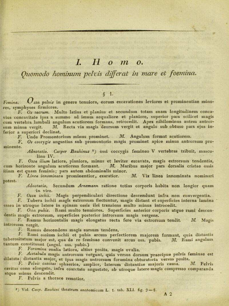 I 1. H o m o. - / Quomodo hominum pelvis differat in mare et foemina. § 1- Femina. Ossa pelvis in genere tenuiora, eorum excavationes leviores et prominentiae mino- res, symphyses firmiores. F. Os sacrum. Multo latius et planius et secundum totam suam longitudinem conca- vius concavitate ipsa a summo ad imum aequaliore et planiore, superior pars scilicet magis cum vertebra lumbali angulum acutiorem formans, retrocedit. Apex nihilominus autem antror- sum minus vergit. M. Recta via magis deorsum vergit et angulo sub obtuso pars ejus in- ferior a superiori declinat, F. Unde Promontorium minus prominet. M. Angulum format acutiorem. F. Os coccygis angustius sub promontorio magis prominet apice minus antrorsum pro- minente. ^ Adnotatio. Casper Bauhinus *) ossi coccygis femineo V vertebras tribuit, mascu- lino IV. F. Ossa ilium latiora, planiora, minus et leviter excavata, magis extrorsum tendentia, cum horizonte angulum acutiorem formant. AT. Maribus major pars dorsalis cristae ossis ilium est quam feminis; pars autem abdominalis minor, F. Linea innominata prominentior, exaratior. IVI, Vix linea innominata nominari potest. Adnotatio, Secundum Arnemann ratione totius corporis habita non longior quam 'in viro. F. Ossa ischii. Magis perpendiculari directione descendunt infra non convergentia. F. Tubera ischii magis extrorsum flectuntur, magis distant et superficies interna lamina “ ossea in utroque latere in spinam ossis ilei transiens multo minus introcedit, F. Ossa puhis. Rami multo tenuiores. Superficies anterior corporis atque rami descen- dentis magis extrorsum, superficies posterior introrsum magis vergens. F. Ramus horizontalis magis elongatus recta fere via extrorsum tendit. ' M. Magis introrsum vergit. F. Ramus descendens magis sursum tendens. F. Piami ossium ischii et pubis arcum perfectiorem majorem formant, quia distantia tuberositatum major est, qua de re feminae convenit arcus oss. pubis. DI. Rami angulum tantum constituunt (angui, oss. pubis.) F. Foramina ovalia latiora, altius posita, magis ovalia, F, Acetabula magis antrorsum vergunt, quia versus dorsum praecipue pelvis feminae est dilatata; distantia major^ et ipsa magis antrorsum foramina obturatoria versus posita. F. Pelvis cavitas sphaerica, amplior, laterum distantiae majoris causa. I\I, Pelvis cavitas cono elongato, infra coarctato angustato, ab utroque latere magis compresso comparanda atque minus descendit. F. Pelvis a thorace remotior. Vid. Casp. Bauhini theatrum anatomicum L. 1. tab. XLI. fig. 9 — 8.