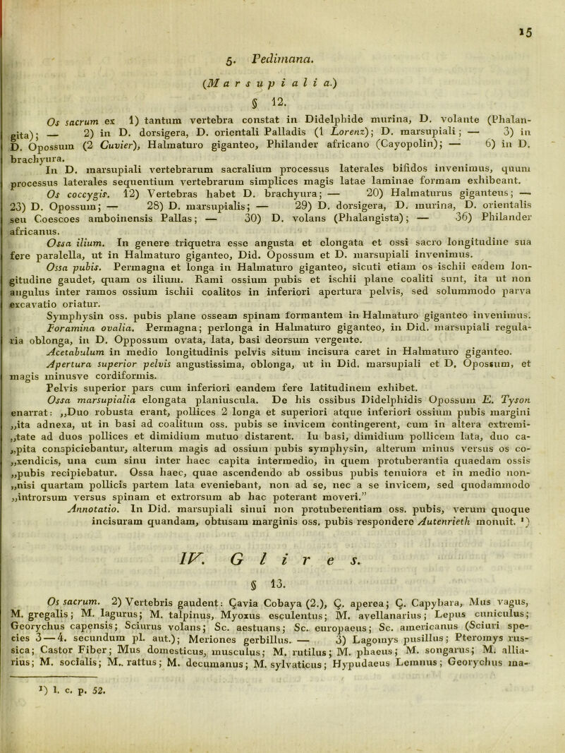 5» Tediinana. {M arsupi ali a.) § 12. Os sacrum ex 1) tantum vertebra constat in Didelphide murina, D. volante (Phalan- 2) in D. dorsigera, D. orientali Palladis (1 Lorenz); D. marsupiali ; — 3) in (2 Cuvier), Halmaturo giganteo, Philander africano (Cayopolin); — 6) in D. brachyura. In D. marsupiali vertebrarum sacralium processus laterales bifidos invenimus, quum processus laterales sequentium vertebrarum simplices magis latae laminae formam exhibeant. Os coccygis. 12) Vertebras habet D. brachyura; — 20) Halraaturus giganteus; — 23) D. Opossumj — 28) D. marsupialis; — 29) D. dorsigera, D. murina, D. orientalis seu Coescoes amboinensis Pallas; — 30) D. volans (Phalangista); — 36) Philander africanus. Ossa ilium. In genere triquetra esse angusta et elongata et ossi sacro longitudine sua fere paralella, ut in Halmaturo giganteo, Did. Opossum et D. marsupiali invenimus. Ossa -pubis. Permagna et longa in Halmaturo giganteo, sicuti etiam os ischii eadem lon- gitudine gaudet, quam os ilium. Rami ossium pubis et ischii plane coaliti sunt, ita ut non angulus inter ramos ossium ischii coalitos in inferiori apertura pelvis, sed solummodo parva excavatio oriatur. Symphysin oss. pubis plane osseam spinam formantem in Halmaturo giganteo invenimus. Foramina ovalia. Permagna; perlonga in Halmaturo giganteo, in Did. marsupiali regula- ria oblonga, iii D. Oppossum ovata, lata, basi deorsum vergente. Acetabulum in medio longitudinis pelvis situm incisura caret in Halmaturo giganteo. Apertura superior pelvis angustissima, oblonga, ut in Did. marsupiali et D, Opossum, et magis ininusve cordiformis. Pelvis superior pars cum inferiori eandem fere latitudinem exhibet. Ossa marsupialia elongata planiuscula. De his ossibus Didelphidis Opossum £. Tyson enarrat: „Duo robusta erant, pollices 2 longa et superiori atque inferiori ossium pubis margini „ita adnexa, ut in basi ad coalitum oss. pubis se invicem contingerent, cum in altera extremi- „tate ad duos pollices et dimidium mutuo distarent. Iu basi, dimidium pollicem lata, duo ca- „pita conspiciebantur, alterum magis ad ossium pubis symphysin, alterum minus versus os co- „xendicis, una cum sinu inter haec capita intermedio, in quem protuberantia quaedam ossis ,,pubis recipiebatur. Ossa haec, quae ascendendo ab ossibus pubis tenuiora et in medio non- „nisi quartam pollicis partem lata eveniebant, non ad se, nec a se invicem, sed quodammodo „introrsum versus spinam et extrorsum ab hac poterant moveri.” Annotatio. In Did. marsupiali sinui non protuberentiam oss. pubis, verum quoque incisuram quandam, obtusam marginis oss. pubis respondere Autenrieth monuit. *} Glires. S 13. Os sacrum. 2) Vertebris gaudent: Qavia Cobaya (2.), Q. apereaj Q. Capybara, Mus vagus, l^g^^us; M. talpinus, Myoxus esculentus; M. avellanarius; Lepus cuniculus; Georychus capensis; Sciurus volans; Sc. aestuans; Sc. europaeus; Sc. americanus (Sciuri spe- cies 3 — 4. secundum pl. aut.); Meriones gerbillus. — 3) Lagomys pusillus; Pteromys rus- sica; Castor Fiber; Mus domesticus, musculus; M. rutilus; M. phaeus; M. songarus; M. allia- rius; M. socialis; M., rattus; M. decumanus; M. sylvaticus; Hypudaeus Lemnus; Georychus ma- ^) 1. c, p. 52.
