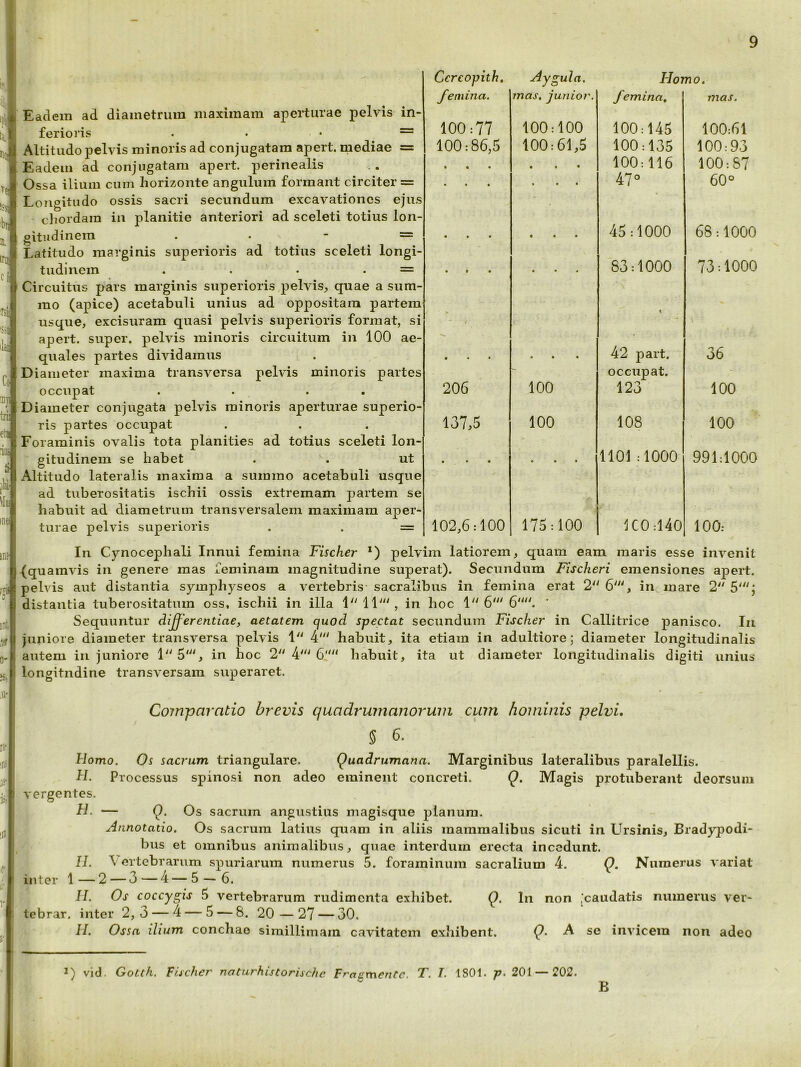 ■■'51 ^t)I irii ci Tsi 'Sii ilai IDl tri) eti m ti \Ii in* rji !ir 0- ,U' ri- ;r.i 3i‘ iii if r 3' Eadem ad diametrum maximam aperturae pelvis in- ferioris ... = Altitudo pelvis minoris ad conjugatam apert. mediae = Eadem ad conjugatam apert. perinealis Ossa ilium cum horizonte angulum formant circiter = Longitudo ossis sacri secundum excavationes ejus chordam in planitie anteriori ad sceleti totius lon- gitudinem . . - = Latitudo marginis superioris ad totius sceleti longi- tudinem . . • . = Circuitus pars marginis superioris pelvis, quae a sum- mo (apice) acetabuli unius ad oppositam partem usque, excisuram quasi pelvis superioris format, si apert. super, pelvis minoris circuitum in 100 ae- quales partes dividamus Diameter maxima transversa pelvis minoris partes occupat . . Diameter conjugata pelvis minoris aperturae superio- ris partes occupat Foraminis ovalis tota planities ad totius sceleti lon- gitudinem se habet . ut Altitudo lateralis maxima a summo acetabuli usque ad tuberositatis ischii ossis extremam partem se habuit ad diametrum transversalem maximam aper- turae pelvis superioris . . = Ccreopith. Aygula. Homo. femina. ?nas, junior. femina. mas. 100:77 100:100 100:145 100:61 100:86,5 100:61,5 100:135 100:93 • • • • • • 100:116 100:87 • * • * • • 47» 60° • • • • • • 45:1000 68:1000 • t • • * t 83:1000 73:1000 1 • • • « • • % • 42 part. occupat. 1 36 206 100 123 100 137,5 100 108 100 • • • o o o o 991:1000 102,6:100 175:100 1C0:140 100: In Cynocephali Innui femina Fischer *) pelvim latiorem, quam eam maris esse invenit (quamvis in genere mas feminam magnitudine superat). Secundum Fischeri emensiones apert. pelvis aut distantia symphyseos a vertebris sacralibus in femina erat 6''', in mare 2^' 5'; distantia tuberositatum oss, ischii in illa in hoc 1 6' Sequuntur digerendae, aetatem quod spectat secundum Fischer in Callitrice panisco. In juniore diameter transversa pelvis 4' habuit, ita etiam in adultiore; diameter longitudinalis autem in juniore L'i*^ lioc 2 4'6 habuit, ita ut diameter longitudinalis digiti unius longitudine transversam superaret. Comparatio brevis quadrumanoruin cum hominis pelvi. 5 6. Homo. Os sacrum triangulare. Quadrumana. Marginibus lateralibus paralellis. H. Processus spinosi non adeo eminent concreti. Q, Magis protuberant deorsum vergentes. H. — Q. Os sacrum angustius magisque planum. Annotatio. Os sacrum latius quam in aliis mammalibus sicuti in Lhsinis, Bradypodi- bus et omnibus animalibus, quae interdum erecta incedunt. II. Vertebrarum spuriarum numerus 5. foraminum sacralium 4. Q. Numerus variat inter 1—2—3—4—5 — 6. H. Os coccygis 5 vertebrarum rudimenta exhibet. Q. In non [caudatis numerus ver- tebrar. inter 2,3 — 4 — 5 — 8. 20 — 27 — 30. II. Ossa ilium conchae simillimam cavitatem exhibent. Q- A se invicem non adeo J) vid. Gotth. Fischer naturhistorische Fragmentc. T. I. 1801. p. 201 — 202. B