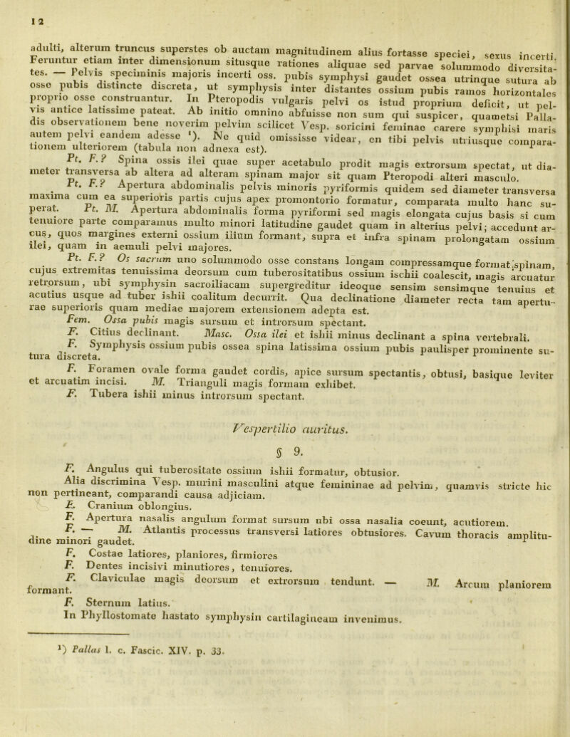 1 2 adulti, alterum truncus superstes ob auctam magnitudinem alius fortasse speciei, sexus incerti Feruntur etiam inter dimensionum situsque rationes aliquae sed parvae solummodo diversUa: tes. - 1 elvis speciminis majoris incerti oss. pubis symphysi gaudet ossea utrinque sutura ab osse pubis distincte discreta, ut symphysis inter distantes ossium pubis ramos horizontales proprio osse construantur. In Pteropodis vulgaris pelvi os istud pJoprium deficit, ut peh ps antice latissime pateat. Ab initio omnino abfuisse non sum qui suspicer, quametsi Palla- dis observationem bene novenm pelvim scilicet Vesp. soricini feminae carere symphisi maris autem pelvi eandem adesse •). Ne quid omississo videar, en tibi pelvis utriusque compara- tioiiem ulteriorem (tabula non adnexa est). ^ ^ Pt. F.? Spina ossis ilei quae super acetabulo prodit magis e.xtrorsum spectat, ut dia- metei tiansversa ab altera ad alteram spinam major sit quam Fteropodi alteri masculo. ^ rt. t.. Apertura abdominalis pelvis minoris pyriformis quidem sed diameter transversa maxima cum ea superioris partis cujus apex promontorio formatur, comparata multo hanc su- perat. Ft. M. Apertura abdominalis forma pyriformi sed magis elongata cujus basis si cum tenuiore parte comparamus multo minori latitudine gaudet quam in alterius pelvi; accedunt ar- cus, quos margines externi ossium ilium formant, supra et infra spinam prolongatam ossium ilei, quam in aemuli pelvi majores. v & • Pt. F.? Os saevum uno solummodo osse constans longam compressamque formatispinara. cujus ertremitas tenuissima deorsum cum tuberositatibus ossium ischii coalescit, magis arcuatur retrorsum, ubi symphysin sacroiliacam supergreditur ideoque sensim sensimque tenuius et acutius usque ad tuber ishii coalitum decurrit. Qua declinatione diameter recta tara apertm. rae superioris quam mediae majorem extensionem adepta est. Fem. Ossa puhis magis sursum et introrsum spectant. F. Citius declinant. Masc. Ossa ilei et ishii minus declinant a spina vertebrali. t. bymphysis ossium pubis ossea spina latissima ossium pubis paulisper prominente su- tura discreta. F. Foramen ovak forma gaudet cordis, apice sursum spectantis, obtusi, basique leviter et arcuatim incisi. M. Trianguli magis formam exhibet. F, Tubera ishii minus introrsum spectant. T^esfjertilio auritus. 5 9. F, Angulus qui tuberositate ossium ishii formatur, obtusior. Alia discrimina Vesp. murini masculini atque femininae ad pelvim, quamvis stricte hic non pertineant, comparandi causa adjiciam, ii. Cranium oblongius. F. Apertura nasalis angulum format sursum ubi ossa nasalia coeunt, acutiorem. q. . 7 Atlantis processus transversi latiores obtusiores. Cavum thoracis amplitu- dine minori gaudet. ^ F, Costae latiores, planiores, firmiores F. Dentes incisivi minutiores, tenuiores. forraanr* magis deorsum et extrorsura . tendunt. — M. Arcum planiorem F. Sternum latius. In Phyllostomate hastato symphysin cartilagineam invenimus.