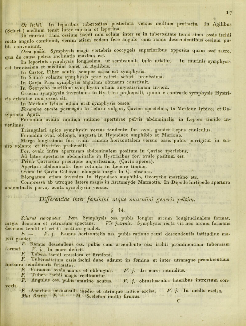 ! Os ischii. Ia leporibus tuberositas posteriora versus multum protracta. In Agilibus I? (Sciuris) medium tenet inter murina et leporina. In murinis rami ossium ischii non solum inter se in tuberositate tenuissima ossis ischii )l recto angulo confluunt, verum etiam eodem fere angulo cum ramis descendentibus ossium pii- :l bis conveniunt. Ossa jJuhU. Symphysis magis vertebris coccygeis superioribus opposita quam ossi sacro, II qua de causa pelvis inclinatio maxima est. In leporinis symphysis longissima, ut semicanalis inde oriatur, In murinis symphysis i» est brevissima et medium tenet in Agilibus. In Castor. Fiber adulto semper ossea est symphysis. In Sciuro volante sympliysis prae ceteris sciuris brevissima. In (Javia Paca symphysis angulum obtusum constituit. In Georycho maritimo symphysin etiam angustissimam inveni, j Osseam symphysin invenimus in Hystrice prehensili, quum e contrario symphysis Hystrh cis cristatae non ossea sit. In Merione lybico etiam erat symphysis ossea. Foramina ovnlici permagna in sciuro vulgari, Qaviae speciebiis, in Merione lybico, etDa- sj-procta Aguti. Foramina ovalia minima ratione aperturae pelvis abdominalis in Lepore timido in- venimus. Triangulari apice symphysin versus tendente for. oval. gaudet Lepus cuniculus. Foramina oval. oblonga, angusta in Hypudaeo amphibio et Merione. Margo longissimus for. ovalis ramum horizontalem versus ossis pubis porrigitur in scL uro volante et Hystrice prehensili. For. ovale infra aperturam abdominalem positum in (gaviae speciebus. Ad latus aperturae abdominalis in Hystricibus for. ovale positum est. Pelvis (gaviarum praecipue angustissima, (Qavia aperea). Apertura abdominalis fere rotunda in Lepore timido. Ovata irf Qavia Cobaya; elongata magis in Q. obscura. Elongatam etiam invenies in Hypudaeo amphibio, Georycho martimo etc. Compressa ab utroque latere magis in Arctorayde Marmotta. In Dipode hirtipede apertura abdominalis parva, acuta symphysin versus. I Differentiae inter feminini atque masculini generis pelvim, : § 14. Sciurus europaeus. Fem. Symphysis oss. pubis longior arcum longitudinalem format, t magis deorsum et retrorsum spectans. Vir juvenis. Symphysis recta via nec arcum formans : deorsum tendit ct crista acutiore gaudet. jF. — V. j. Ramus horizontalis oss. pubis ratione rami descendentis latitudine ma- jori gaudet. F. Ramus descendens oss. pubis cum ascendente oss. ischii prominentiam tuberosam ( format. V. j. In mare deficit, F. Tubera ischii crassiora et firmiora. I F. Tuberositatum ossis ischii duae adsunt in femina et inter utramque prominentiam ^ incisura semilunaris formatur. F. Foramen ovale majus et oblongius. J^. j. In mare rotundius, F. Tubera ischii magis reclinantur. F. Angulus oss. pubis omnino acutus. V. j. obtusiusculus lateribus introrsum con- vexis, F. Apertura pennaealis medio et iitrinque antice excisa. j. In medio excisa, IVIus Kattus. F. — M. Sceleton multo firmius. C