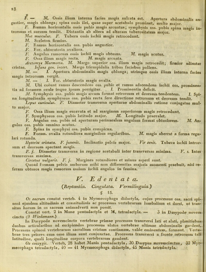 * F. — M, Ossis ilium interna facies magis sulcata est. Apertura abdominalis an- gustior, magis oblonga; spina ossis ilei, quae super acetabulo prominet, multo major. F. Ramus horizontalis ossis pubis magis arcuatus; symphysis oss. pubis spina magis in- trorsum et sursum tendit. Distantia ab altera ad alteram tuberositatem major. Mus musculus. F. Tubera ossis ischii magis retrocedunt. M. Sceleton firmius. F. Ramus horizontalis oss. pubis angustior, F. For. obturatoria ovaliora. F. Angulus ramorum ossis ischii magis obtusus, M. magis acutus. F. Ossa ilium magis recta. M. magis arcuata. Arctomy^ Marmotta. M. Margo superior oss. ilium magis retrocedit; firmior adinstar cristae. Jnfans geu. incert. Maigo tricuspidalis tribus faciebus pollens. M. — J. Apertura abdominalis magis oblonga; utrinque ossis ilium interna facies magis introrsum vergit. M. — J. For. obturatoria magis ovalia. M. Ubi coeunt ramus descendens oss. pubis et ramus adscendens ischii oss. prominen- tia ad foramen ovale inque ipsum porrigitur. I. Prominentia deficit, m. Symphysis oss. pubis magis arcum format retrorsum et deorsum tendentem. J. Spi- na longitudinalis symphyseos oss. pubis recta fere directione retrorsum et deorsum tendit. Lepus cuniculus. F. Diameter transversa aperturae abdominalis ratione conjugatae mul- to major. F. Ossa ilium magis excavata et ad marginem superiorem magis retrocedunt. F. Symphyseos oss. pubis latitudo major. il/. Longitudo praevalet. F, Angulus oss. pubis ad aperturam perinaealera angulum format obtusiorem. M. An- gulus oss, pubis omnino acutus,* F. Spina in symphysi oss. pubis conspicua. F. Foram. ovalia rotundiora marginibus regularibus, M. magis aberrat a forma regu- lari rotunda, Hyttrioc cristata. F. juvenis. Inclinatio pelvis major. Vir senis. Tubera ischii intror- .sum et deorsum spectant magis. F. j. Diameter transversa in regione acetabuli inter transversas minima. V. s. Inter* transversas maxima. Circetus vulgaris. F. j. Margines rotundiores et minus asperi sunt. Quoad formam pelvis amborum mihi non differentias majoris momenti praebuit, nisi re-• feram obtusos magis ramorum ossium ischii angulos in femina. F, F. d G n b a b a. (jRe-ptantia, Cingidata. T^ermiUnguia.J ^ 15. Os sacrum constat verteb. 4 in Myrmecophaga didactyla, cujus processus oss. sacri spi-- nosi ejusdem altitudinis et crassitudinis ac processus vertebrarum lumbalium et dorsi, ut tran-* situs harum in os sacrum animadverti non possit. Constat vert. 2 in Mane pentadactyla et M. tctradactyla. — 3 in Dasypode novemi cincto (9 Wiedemann.) In D asypode noveracincto vertebrae primae processus transversi lati et alati, planitiebus-» duobus articularibus ad excipiendos processus alatos vertebrae ultimae abdominalis gaudent,. Ihocessus spinosi vertebrarum sacralium cristam contiiiuara, valde eminentem, formant. Verte- brae tres priores cum osse ilium sunt conjunctae. Processus transversi a fronte retrorsum tali i latitudine, quali longitudine corpora vertebrarum gaudent. Os coccygis. \'’erteb, 28 habet Manis pentadactyla, 30 Dasypus novemciiictus, 32 Myr— mecophaga tctradactyla, 40 — 41 Myrmecophaga didactyla, 45 Manis tetradactyla.