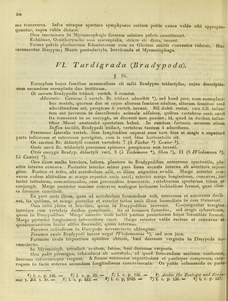 20 ina transversa. Infra utraqne apertura symphyseos ossium pubis causa Valde sibi appropin- quantur, supra valde distant. ^ Ossa innominata in Myrmecopliagis formam minime pelvis constituunt. Echidnae, Ornithoryncho ossa inarsupialia, stricte sic dicta, insunt. Forma pelvis plurimorum Edentatorum cum ea Glirium multis convenire videtur. Huc recensentur Dasypus,* Manis pentadactyla, brevicauda et Myrmecopliaga. FL T ardior ad a (B r a dy p o d a). § 16. Exemplum hujus familiae mammalium sit mihi Bradypus tridactylus, cujus descriptio- nem secundum exemplaria duo instituam. Os sacrum Bradypodis tridact. verteb. 6 constat. Adnotatio: Cuvierus 3 verteb. Br. tridact. adseribit *), sed haud jure, nani exemplari- bus nostris, quorum duo et cujus alterum feminae adultae, alterum feminae seni adseribendum est, perspicue 6 verteb. inveni. Nil dubii restat, viro Cii. infan- tem aut juvenem in describendo animale adfuisse, quibus vertebrae ossis sacri ita transeunt in os coccygis, ut discerni non possint; id, quod in duobus infan- tibus Musei anatomici spectatum habui. In eundem fortasse errorem etiam Biiff^on incidit, Bradypodi tridact, vertebras tantum 4 adseribens. Processus lateralis verteb. 5tae longitudine superat eum vert. 4tae et magis a superiori parte infrorsum et retrorsum porrigitur, cum is vert. 6tae horizontalis sit. Os sacrum Br. didactyli constat vertebris 7 (4 Fischer Cuvier ^). Ossis sacri Bi'. tridactyli processus spinosos perspicuos non inveni. Ossis coccygis Bradyp. didactyli vert, S (3 Tiedemann Oken ^), 11 (S /^Fledemann 13 Cuvier) ^). Ossa ilium multo breviora, latiora, planiora in Bradypodibus antrorsum spectantia, pla- nitie interna concava. Posterior interior minor pars linea arcuata interna ab anteriore sejun- gitur. Postice et infra, ubi acetabulum adit, os ilium angustius evadit. Margo anterior con- vexus eadem altitudine ac margo superior ossis sacri; exterior margo longissimus, concavus; in-■ terior latissimus, concaviusciilus, cum processibus transversis vertebrarum spuriarum trium se ’ conjungit. Margo posterior maxime concavus analogon incisurae ischiadicae format, quae clau- sa foramen constituit. Ea pars ossis ilium, quae ad acetabulum formandum exit, retrorsum et extrorsum decli- nat, ita quidem, iit margo posterior et exterior totius ossis ilium immediate in cani transeant. Ossa ischii plana et breviora, quam in Dasypodibus invenies. Conjunguntur margine’ interiore cum vertebris duabus penultimi.s, ita ut foramen formetur, sed magis sphaericum, quam in Dasypodibus. Margo anterior ossis ischii partem posteriorem hujus foraminis format. Margo posterior longissimus tuberositate caret. Margo exterior valde excisus et concavus et quadrurnanorum instar altius descendit, quam internus. Foramen ischiadicum in Dasypode novemcincto oblongum. Foramen ovale Bradypodi inesse negat IT^iedemannus ^), sed non jure. Foramen ovale triquetrum apicibus obtusis, basi deorsum vergente in Dasypode no-- vemciiicto. Tn IMyianecoph. tctradact. ovatum, latum, basi deorsum vergente. Ossa puhis permagna, orbicularia ab acetabulo, ad quod formandum multum conferunt, deorsum relrorsumque vergunt. A fronto retrorsum angustissima et paulisper compressa, cete- roquin in facie externa secundum longitudinem concaviuscula. Os pubis solummodo ex parte' 1. c. p. 136. — 2) h c. p. 39. h c- P- 136. — 4) ArcUv fur Zoolo^ie und Zooto^