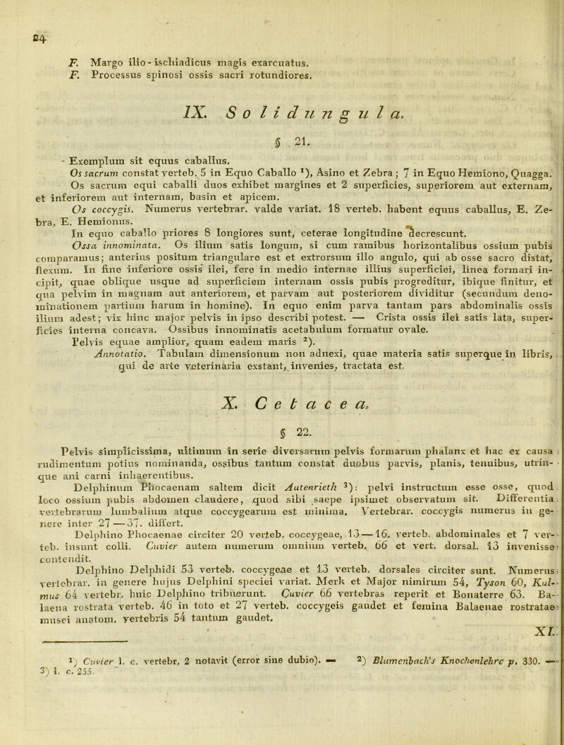 F. Margo ilio - iscliiadiciis magis exarciiatus. F. Processus spinosi ossis sacri rotundiores. IX. S 0 l i d u n S u l a, 5 21. * Exemplum sit equus caballus. Os sacrum constat verteb. 5 in Equo Caballo Asino et Zebra ; 7 in Equo Hemiono, Quagga. Os sacrum equi caballi duos exhibet margines et 2 superficies, superiorem aut externam, et inferiorem aut internam, basin et apicem. Os coccygis. Numerus vertebrar. valde variat. 18 verteb. habent equus caballus, E. Ze- bra, E. Hemionus. In equo caballo priores 8 longiores sunt, ceterae longitudine decrescunt. Ossa innominata. Os ilium satis longum, si cum ramibus horizontalibus ossium pubis comparamus; anterius positura triangulare est et extrorsura illo angulo, qui ab osse sacro distat, flexura. In fine inferiore ossis ilei, fere in medio internae illius superficiei, linea formari in- cipit, quae oblique usque ad superficiem internam ossis pubis progreditur, ibique finitur, et qua pelvim in magnam aut anteriorem, et parvam aut po.steriorera dividitur (secundum deno- iDinationem partium harum in homine). In equo enim parva tantam pars abdominalis ossis ilium adest; vix hinc major pelvis in ipso describi potest. — Crista ossis ilei satis lata, super- ficies interna concava. Ossibus innominatis acetabulum formatur ovale. Pelvis equae amplior, quam eadem maris ^). Annotatio. Tabulam dimensionum non adnexi, quae materia satis superque in libris, qui de arte veterinaria exstant, invenies, tractata est. X C e t a c e a, 5 22. Pelvis simplicissima, ultimum in serie diversarum pelvis formarum phalanx et hac ex causa rudimentum potius nominanda, ossibus tantum constat duobus parvis, planis, tenuibus, utriii- • que ani carni inhaerentibus. Delpliimim Phocaenara saltem dicit Autenrieth ^): pelvi instructum esse osse, quod loco ossium pubis abdomen claudere, quod sibi saepe ipsimet observatum sit. Differentia vertebrarum lumbalium atque coccygearum est minima. Vertebrar. coccygis numerus iu ge- nere inter 27—37. differt. Delphino Pliocaenae circiter 20 verteb. coccygeae, 13—16. verteb. abdominales et 7 ver-- tcb. insunt colli. Cuvier autem numerum omnium verteb. 66 et vert. dorsal. 13 invenisse ? contendit. Delpbino Delphidi 53 verteb. coccygeae et 13 verteb. dorsales circiter sunt. Numerus- veilebiar. in genere Jiiijns Delphini speciei variat. Merk et Major nimiriun 54, Tyson 60, Xu/-- mus 64 vertebr, Iniic Delphino tribuerunt. Cuvier 6.6 vertebras reperit et Bonaterre 63. Ba- laena rostrata verteb. 46 in toto et 27 verteb. coccygeis gaudet et femina Balaenae rostratae? musci aiiatom. vertebris 54 tantum gaudet. » XI. Cuvier 1. c. vertebr. 2 notavit (error sine dubio). — 2^ BluinenhaclCs Knochonlehrc p, 330. —
