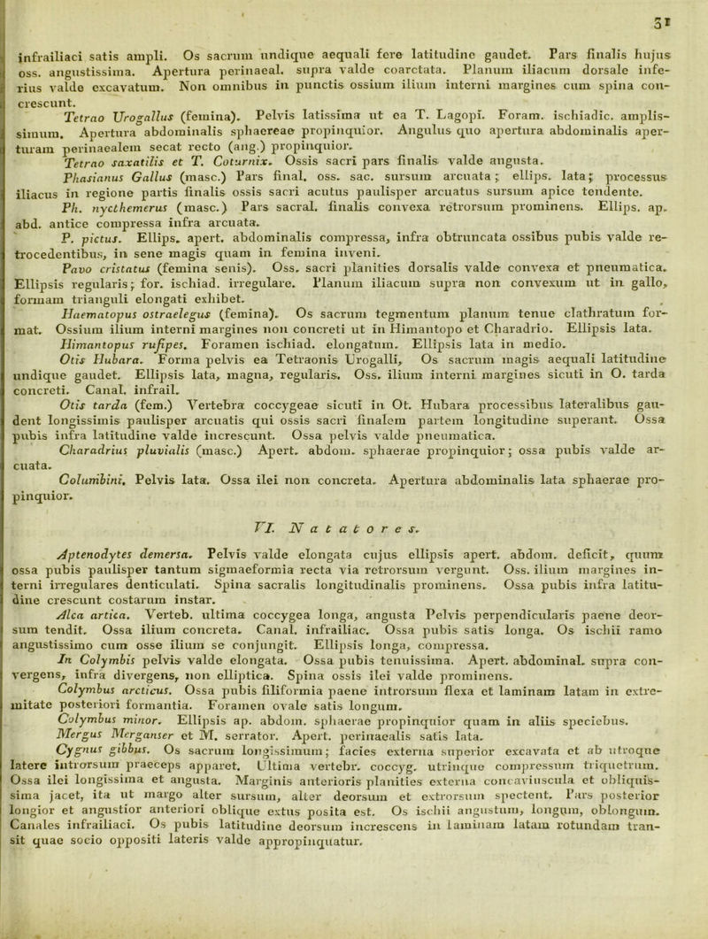 1 infrailiaci satis ampli. Os sacrum undique aequali fere latitudine gaudet. Pars finalis hujus I oss. angustissima. Apertura perinaeal. supra valde coarctata. Planum iliacum dorsale infe- i riiis valde excavatum. Non omnibus in punctis ossium ilium interni margines cum spina con~ i crescunt. Tetrao Urogallus (femina). Pelvis latissima ut ea T. Lagopi. Foram. ischiadic. amplis- simum. Apertura abdominalis sphaereae propinquior. Angulus quo apertura abdominalis aper- turam periuaealein secat recto (aiig.) propinquior. Tetrao saxatilis et T. Coturnix, Ossis sacri pars finalis valde angusta. Phasianus Gallus (masc.) Pars final. oss. sac. sursum arcuata;: ellips. lata;: processus iliacus in regione partis finalis ossis sacri acutus paulisper arcuatus sursum apice tendente. Ph, nycthemerus (masc.) Pars sacral. finalis convexa retrorsum prominens. Ellips. ap. abd. antice compressa infra arcuata. P. pictus, Ellips. apert. abdominalis compressa^ infra obtruncata ossibus pubis valde re- trocedentibusj in sene magis quam in femina inveni. Pavo cristatus (femina senis). Oss, sacri planities dorsalis valde convexa et pneumatica. Ellipsis regularis; for. ischiad. irregulare. Planum iliacum supra non convexum ut in gallo, formam trianguli elongati exhibet. Haematopus ostraelegus (femina). Os sacrum tegmentum planum tenue clathratum for- mat. Ossium ilium interni margines non concreti ut in Himautopo et Charadrio. Ellipsis lata. Himantopus rujlpes. Foramen ischiad. elongatum. Ellipsis lata in medio. Otis Hubara, Forma pelvis ea Tetraonis Urogalli, Os sacrum magis aequali latitudine undique gaudet. Ellipsis lata, magna, regularis. Oss. ilium interni margines sicuti in O. tarda concreti. Canal. infrail. Otis tarda (fem.) Vertebra coccygeae sicuti in Ot. Hubara processibus lateralibus gau- dent longissimis paulisper arcuatis qui ossis sacri finalem partem longitudine superant. Ossa pubis infra latitudine valde increscunt. Ossa yjelvis valde pneumatica. Charadrius pluvialis (masc.) Apert. abdom. sphaerae propinquior; ossa pubis valde ar- cuata. ColuTtihini, Pelvis lata. Ossa ilei non concreta. Apertura abdominalis lata sphaerae pro- pinquior. VI. Natatore s, Aptenodytes demersa. Pelvis valde elongata cujus ellipsis apert. abdom. deficit, quum ossa pubis paulisper tantum sigraaeformia recta via retrorsum vergunt. Oss. ilium margines in- terni irregulares denticulati. Spina sacralis longitudinalis prominens. Ossa pubis infra latitu- dine crescunt costarum instar. Alea artita, Verteb. ultima coccygea longa, angusta Pelvis perpendicularis paene deor- sum tendit. Ossa ilium concreta. Canal. infrailiac. Ossa pubis satis longa. Os ischii ramo angustissimo cura osse ilium se conjungit. Ellipsis longa, compressa. In Colymbis pelvis valde elongata. Ossa pubis tenuissima. Apert. abdominal, supra con- vergens, infra divergens, non elliyitica. Spina ossis ilei valde prominens. Colymbus arcticus. Ossa pubis filiformia paene introrsum flexa et laminam latam in extre- mitate posteriori formantia. Foramen ovale satis longum. Colymbus minor. Ellipsis ap. abdom. spliaerae propinquior quam in aliis speciebus. IMergus Merganser et M. serrator. Apert. perinacalis satis lata. Cycnus gibbus. Os sacrum longissimum; facies externa superior excavata et ab utroque latere introrsum praeceps apparet. Ultima vertebr. coccyg. utriuquo compressum triquetrum. Ossa ilei longissima et angusta. Mai’ginis anterioris planities externa concaviuscula et obliquis- sima jacet, ita ut margo alter sursum, alter deorsum et extrorsum spectent, fars posterior longior et angustior anteriori oblique extiis posita est. Os ischii angustum, longum, oblongum. Canales infrailiaci. Os pubis latitudine deorsum increscens in laminam latam rotundam tran- sit quae socio oppositi lateris valde appropinquatur.