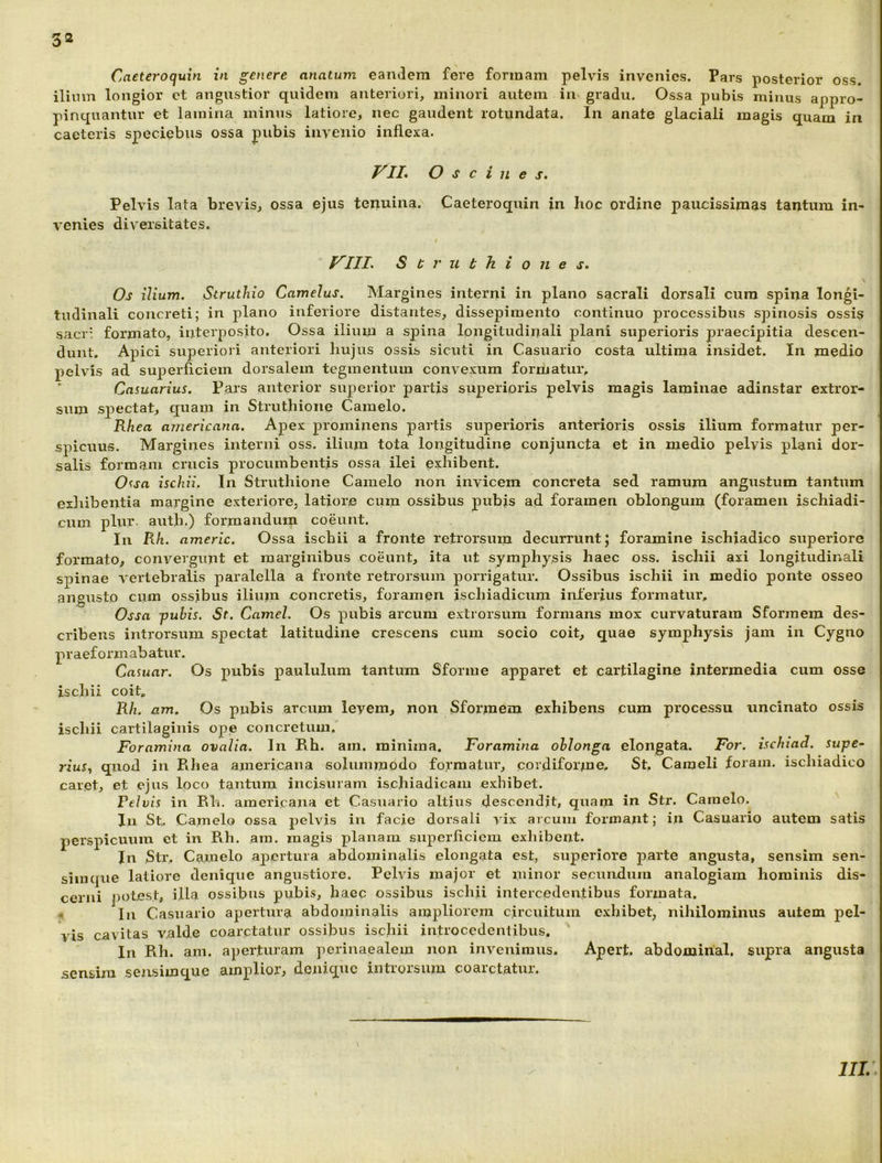 Ca€te?'oquin in genere anatum eandem fere formam pelvis invenies. Pars posterior oss. ilium longior et angustior quidem anteriori, minori autem in gradu. Ossa pubis minus appro- pinquantur et lamina minus latiore, nec gaudent rotundata. In anate glaciali magis quam in caeteris speciebus ossa pubis invenio inflexa. Oscines, Pelvis lata brevis, ossa ejus tenuina. Caeteroquin in hoc ordine paucissimas tantum in- venies diversitates. f^IIL S C r u t h i o 11 e s. Os ilium. Struthio Camelus. Margines interni in plano sacrali dorsali cura spina longi- tudinali concreti; in plano inferiore distantes, dissepimento continuo processibus spinosis ossis sacT’ formato, interposito. Ossa ilium a spina longitudinali plani superioris praecipitia descen- dunt, Apici superiori anteriori hujus ossis sicuti in Casuario costa ultima insidet. In medio pelvis ad superficiem dorsalem tegmentum convexum formatur, ‘ Casuarius. Pars anterior superior partis superioris pelvis magis laminae adinstar extror- sum spectat, ejuam in Struthione Camelo. Rhea americana. Apex prominens partis superioris anterioris ossis ilium formatur per- spicuus. Margines interni oss. ilium tota longitudine conjuncta et in medio pelvis plani dor- salis formam crucis procumbentis ossa ilei exhibent. O^sa ischii. In Struthione Camelo non invicem concreta sed ramum angustum tantum exliibentia margine exteriore, latiore cum ossibus pubjs ad foramen oblongum (foramen ischiadi- cum pliir. auth.) formandum coeunt. In Rh. americ. Ossa ischii a fronte retrorsum decurrunt J foramine ischiadico superiore formato, convergunt et marginibus coeunt, ita ut symphysis haec oss. ischii axi longitudinali spinae vertebralis paralella a fronte retrorsum porrigatur. Ossibus ischii in medio ponte osseo angusto ciim ossibus ilium concretis, foramen ischiadicum inferius formatur, Ossa -pubis. St. Camel. Os pubis arcum extrorsum formans mox curvaturam Sformem des- cribens introrsum spectat latitudine crescens cum socio coit, quae symphysis jam in Cygno praeformabatur. Camar. Os pubis paululum tantum Sforme apparet et cartilagine intermedia cum osse ischii coit, Rh. am. Os pubis arcum leyem, non Sformem exhibens cum processu uncinato ossis ischii cartilaginis ope concretum. Foramina ovalia. In Rh. am. minima. Foramina oblonga elongata. For. ischiad. supe^ riuSf quod in Rhea americana solummodo formatur, cordiforme. St, Cameli foram. ischiadico caret, et ejus loco tantum incisuram ischiadicam exhibet. Felvis in Rli. americana et Casuario altius descendit, quam in Str. Camelo. Jii St, Camelo ossa pelvis in facie dorsali yix arcum formant; in Casuario autem satis perspicuum ct in Rh. ara. magis planam snperflcicm exhibent. Jn Str, Camelo apertura abdominalis elongata est, superiore parte angusta, sensim sen- simqiie latiore denique angustiore. Pelvis major et minor secundum analogiam hominis dis- cerni potest, illa ossibus pubis, hacc ossibus ischii intercedentibus formata. ■4 In Casuario apertura abdominalis ampliorem circuitum exhibet, nihilominus autem pel- vis cavitas valde coarctatiir ossibus ischii introcedentibus. In Rh. am. aperturam periuaealein non invenimus. Apert. abdominal, supra angusta sensim sensimque amplior, denique introrsum coarctatur. IIL.