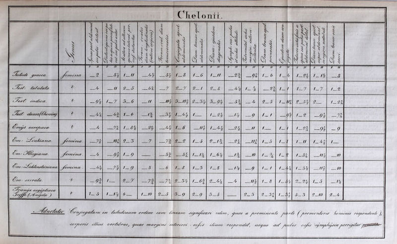 \ y \\ 1 'i M •1 K \<r 1 lll iH '1 il § r t i ^ '5: ^ s ^ ^ ^ Iv iir Ih ili u> 1 1, 1 H 1^1 1 V ^ 1 .ll \ 1 •^■ 1 ■'S ^ ,| 1 1 I- Ij % . \l 1^ M II Ili 4I'I \ 'if -1 -S Sil 1 1 1 \ L j IP ^ ^ i ^ 'il Mi lll 1 1 1 1 > il // /y // m // ttf // //! i/ m n nf // l)! // /y/ A m ■ // /H A /// ir- A H /// // M a m _2 —S^i 1^11 — <51 1^8 1-6 1—11 -£f —9t 1- 6 1— '± 1-29 1-19 —8 , 2/ _/a // z^s —(^% —7 z—y 2-1 2-8 —69 / ■i' /— i -2i 1- ' 1-7 1-7 1-2 -t /_-/ 3_<? _// /(?! -5^10.^ 2-39 ■5-09 -SI — A- 2-5 /_) n 2-5% 2— 1-2% ■l _^f 1^6 -1% -3^ ■ 1 1-29. —Ii —9 1- 1 i i 1-2 —9i -n h' /- —-y-i^ ■l-S^s. f 9' 1-6 _//| —^'1 11 1 1- 1-21 —9i -9 —ri- —ioi z_z _r —74- Z—Z 1—5 9-1k —^4 —Ili 1-5 1- 1-11 1-2t'i 1 ^7?.- 4- —# 1-9 — —5| -Si 1-% 1-69 -'t 10 1-k 1-1 » 1-8% —11% 10 .* '=^^^:A^en^^e^ne€g'n^. 1-9 5 — 6 ' 1-8 1—3 1-8 —9 1-1 1-^ i 1-69 //l — 10 (ow--.- tf e/'^r^i/it'. ~9t / S-'/ -7i -71 S-S^i 1-6% 2-41^ —6 —n 1- 8 1-1 2-2% 1-5 -!9 /- 5 i-i\ 6 i^lO Z-g 2-Q 3-5 — 2-3 2-3% 1-i ■P 'a 5-3 2-10 2-6 ^/t^nu'wy r&:^€in/^2i/e ' 'i’^^c'</ 'r./6y .(Jd^j p^»-r^U9iryrglsKliti.
