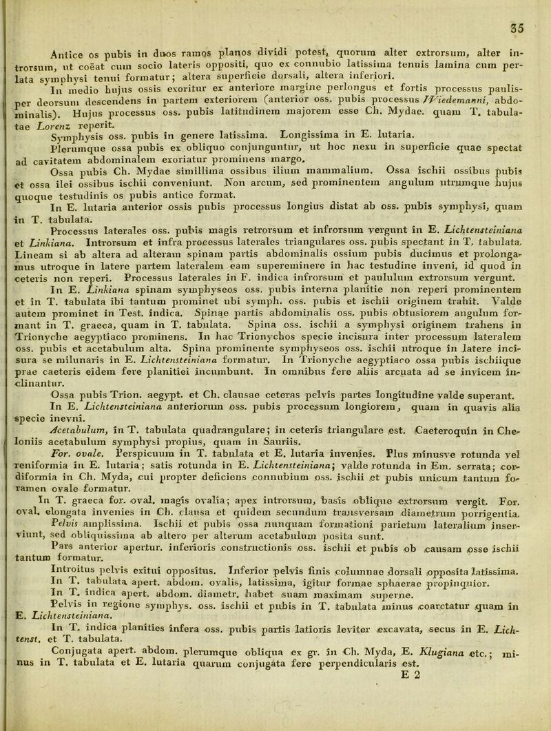Antice os pubis in duos raraqs planos dividi potest^ quorum alter extrorsura, alter in- trorsum, ut coeat cum socio lateris oppositi, quo ex connubio latissima tenuis lamina cura per- lata symphysi tenui formatur; altera superficie dorsali, altera inferiori. In medio hujus ossis exoritur ex anteriore margine perlongus et fortis processus paulis- per deorsum descendens in partem exteriorem (anterior oss. pubis processus /J^iedemanni, abdo- minalis). Hujus processus oss. pubis latitudinem majorem esse Ch. Mydae. quam T. tabula- tae Lorenz re])erit. Symphysis oss. pubis in genere latissima. Longissima in E. lutaria. Plerumque ossa pubis ex obliquo conjunguntur, ut hoc nexu in superficie quae spectat ad cavitatem abdominalem exoriatur prominens margo, Ossa pubis Ch. Mydae simillima ossibus ilium mammalium. Ossa ischii ossibus pubis et ossa ilei ossibus isjchii conveniunt. Non arcum, sed prominentem angulum utrumque hujus quoque testudinis os pubis antice format. In E. lutaria anterior ossis pubis processus longius distat ab oss. pubis symphysi, quam in T. tabulata. Processus laterales oss. pubis magis retrorsum et infrorsiim yergunt in E. Lichtensteiniana et Linkiana. Introrsum et infra processus laterales triangulares oss. pubis spectant in T. tabulata. Lineam si ab altera ad alteram spinam partis abdominalis ossium pubis ducimus et prolonga- mus utroque in latere partem lateralem eam supereminere in hac testudine inveni, id quod in ceteris non reperi. Processus laterales in F. indica infrorsum et paululum extrorsum vergunt. In E. Linkiana spinam symphyseos oss, pubis interna planitie non reperi prominentem et in T. tabulata ibi tantum prominet ubi symph. oss. pubis et ischii originem trahit. Valde autem prominet in Test. indica. 5pinae partis abdominalis oss. pubis obtusiorem angulum for<- mant in T. graeca, quam in T. tabulata. Spina oss. ischii a symphysi originem trahens in Trionyche aegyptiaco prominens. In hac Trionychos specie incisura inter processura lateralem oss. pubis et acetabulum alta. Spina prominente symphyseos oss. ischii utroque in latere inci- sura se milunaris in E. Lichtensteiniana formatur. In Trionyche aegyptiaco ossa pubis ischiique prae caeteris eidem fere planitiei incumbunt. In omnibus fere aliis arcuata ad se invicem in- clinantur. Ossa pubis Trion. aegypt. et Ch. clausae ceteras pelvis partes longitudine valde superant. In E. Lichtensteiniana anteriorum oss. pubis processum longiorem, quam in quavis alia specie inevni. /Acetabulum, in T. tabulata quadrangulare; in ceteris triangulare est. Caeteroquin in Che- Ioniis acetabulum symphysi propius, quam in Sauriis, For. ovale. Perspicuum in T. tabulata et E. lutaria invenies. Plus minusve rotunda vel reniformia in E. lutaria; satis rotunda in E. Lichtensteiniana^ valde rotunda in Em. serrata; cor- diformia in Ch. Myda, cui propter deficiens connubium oss. ischii et pubis unicum tantum fo- ramen ovale formatur. In T. graeca for- oval. magis ovalia; apex introrsum, 'basis oblique extrorsum vergit. For. oval. elongata invenies in Ch. clausa et quidem secundum trajisversam diametrum porrigentia. Pelvis amplissima. Ischii et pubis ossa nunquam formationi parietum lateralium inser- viunt, sed obliquissima ab altero per alterum acetabulum posita sunt. Pars anterior apertur. inferioris constructionis oss. ischii et pubis ob causam osse ischii tantum formatur. Introitus pelvis exitui oppositus. Inferior pelvis fmis columnae dorsali opposita latissima, tabulata apert. abdora. ovalis, latissima, igitur formae sphaerae propinquior. In T, indica apert. abdom. diainetr. habet suam maximam superne. Pelvis in regione symphys. oss. iscliii et pubis in T. tabulata minus coarctatur quam in E. Lichtensteiniana. In T- indica planities infera oss. pubis partis latioris leviter excavata, secus %n E. Lich~ tenst. et T. tabulata. Conjugata apert. abdom. plerumque obliqua ex gi*. in Ch. Myda, E, Klugiana etc.; mi- nus in T. tabulata et E. lutaria quarum conjugata fere perpendicularis est. E 2