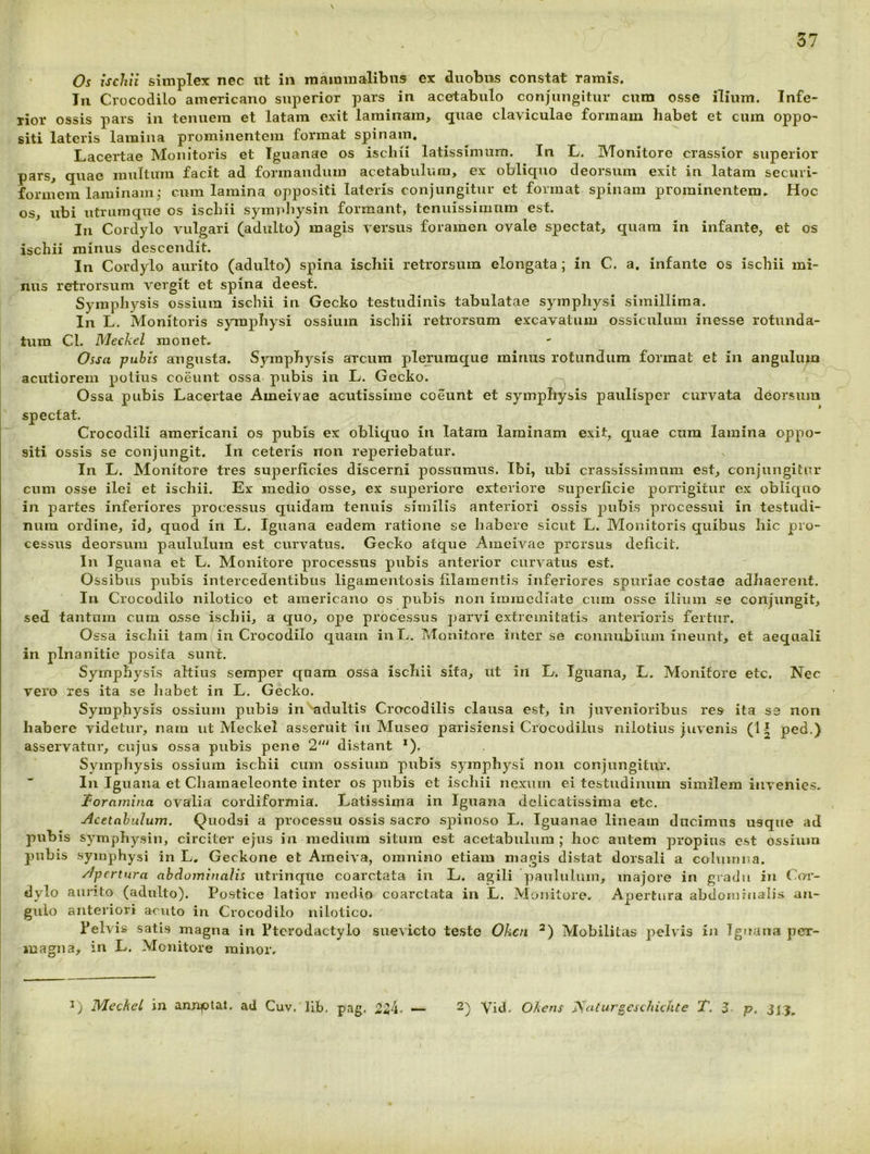 Os ischii simplex nec ut in raammalibns ex duobus constat ramis. In Crocodilo americano superior pars in acetabulo conjungitur cum osse ilium. Infe- rior ossis pars in tenuem et latam exit laminam, quae claviculae formam habet et cum oppo- siti lateris lamina prominentem format spinam. Lacertae Monitoris et Iguanae os ischii latissimum. In L. Monitore crassior superior pars, quae multum facit ad formandum acetabulum, ex obliquo deorsum exit in latam securi- formera laminam; cum lamina oppositi lateris conjungitur et format spinam prominentem. Hoc os, ubi ntrumque os ischii sympliysin formant, tenuissimum est. In Cordylo vulgari (adulto) magis versus foramen ovale spectat, quam in infante, et os ischii minus descendit. In Cordylo aurito (adulto) spina ischii retrorsum elongata ; in C. a. infante os ischii mi- nus retrorsum vergit et spina deest. Symphysis ossium ischii in Gecko testudinis tabulatae symphysi simillima. In L. Monitoris symphysi ossium ischii retrorsum excavatum ossiculum inesse rotunda- tum Cl. Meckel monet. Ossa pubis angusta. Symphysis arcum plerumque minus rotundum format et in angulum acutiorem potius coeunt ossa pubis in L. Gecko. , Ossa pubis Lacertae Ameivae acutissime coeunt et symphysis paulisper curvata deorsum spectat. Crocodili americani os pubis ex obliquo in latam laminam exit, quae cura lamina oppo- siti ossis se conjungit. In ceteris non reperiebatur. In L. Monitore tres superficies discerni possumus. Ibi, ubi crassissimum est, conjungitur cum osse ilei et ischii. Ex medio osse, ex superiore exteriore superficie porrigitur ex obliquo in partes inferiores processus quidam tenuis similis anteriori ossis pubis processui in testudi- num ordine, id, quod in L. Iguana eadem ratione se habere sicut L. Monitoris quibus hic pro- cessus deorsum paululum est curvatus. Gecko atque AmehMe prorsus deficit. In Iguana et L. Monitore processus pubis anterior curvatus est. Ossibus pubis intercedentibus ligamentosis filamentis inferiores spuriae costae adhaerent. In Crocodilo nilotico et americano os pubis non immediate cum osse ilium se conjungit, sed tantum cum osse ischii, a quo, ope processus parvi exti emitatis anterioris fertur. Ossa ischii tam i in Crocodilo quam iii L. TvTonitore iriter se connubium ineunt, et aequali in plnanitie posita sunt. Symphysis altius semper quam ossa ischii sita, ut in L. Iguana, L. Monitore etc. Nec vero res ita se Iiabet in L. Gecko. Symphysis ossium pubis in '•adultis Crocodilis clausa est, in juvenioribus res ita S3 non habere videtur, nam ut Meckel asseruit in Museo parisiensi Crocodilus nilotius juvenis (1| ped.) asservatur, cujus ossa pubis pene 2''^ distant *). Symphysis ossium ischii cum ossium pubis symphysi non conjungitur. In Iguana et Chamaeleonte inter os pubis et ischii nexum ei testudinum similem invenies. Toramina ovalia cordiformia. Latissima in Iguana delicatissima etc. Acetabulum. Quodsi a processu ossis sacro spinoso L. Iguanae lineam ducimus usque ad pubis symphysin, circiter ejus in medium situra est acetabulum ; hoc autem propius est ossium pubis symphysi in L. Geckone et Aineiva, omnino etiam magis distat dorsali a columna. Apertura abdominalis utrinqtie coarctata in L. agili paululum, majore in gradu in C(7r- dylo aurito (adulto). Postice latior medio coarctata in L. Monitore. Apertura abdominalis an- gulo anteriori acuto in Crocodilo nilotico. Pelvis satis magna in Pterodactylo suevicto teste Ohen Mobilitas pelvis in Iguana per- magna, in L, Monitore minor. Meckel in annplat. ad Cuv. lib, pag. 254. 2) Vid. Ohens ?ialurgesc/iichte T. 5 p. 313,
