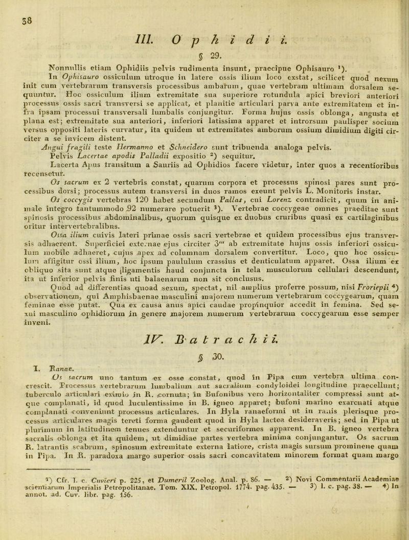 58 IIL O p k i d i i. 5 29. Nonnullis eliara Ophidiis pelvis rudimenta insunt, praecipue Ophisauro *). In Ophisauro ossiculum utroque in latere ossis ilium loco exstat, scilicet quod nexum init cum vertebrarum transversis processibus ambarum, quae vertebram ultimam dorsalem se- quuntur, Hoc ossiculum ilium extremitate sua superiore rotundula apici breviori anteriori processus ossis sacri transversi se applicat, et planitie articulari parva ante extremitatem et in- fra ipsam processui transversali lumbalis conjungitur. Forma hujus ossis oblonga, angusta et plana est; extremitate sua anteriori, inferiori latissima apparet et introrsum paulisper socium versus oppositi lateris curvatur^ ita quidem ut extremitates amborum ossium dimidiiun digiti cir- citer a se invicem distent. Angui fragiii teste Ilermanno et Schneidero sunt tribuenda analoga pelvis. Pelvis Lacertae apodis Palladii expositio sequitur. Lacerta Apus transitum a .Sauriis ad Ophidios facere videtur, inter quos a recentioribus recensetur. Os sacrum ex 2 vertebris constat, quarum corpora et processus spinosi pares sunt pro- cessibus dorsi; processus autem transversi in duos ramos exeunt pelvis L. Monitoris instar. Os coccygis vertebras 120 habet secundum Pallas, cui Lorenz contradicit, quum in ani- male integro tantummodo 92 numerare potuerit ^). Vertebrae coccygeae omnes praeditae sunt spinosis processibus abdominalibus, quorum quisque ex duobus cruribus quasi ex cartilaginibus oritur intervertebralibus. Ossa ilium cuivus lateri primae ossis sacri_yertebrae et quidem processibus ejus transver- sis adhaerent. Superficiei externae ejus circiter 3''' ab extremitate hujus ossis inferiori ossicu- lum mobile adhaeret, cujus apex ad columnam dorsalem convertitur. Loco, quo hoc ossicu- lum afiigitur ossi ilium, hoc ipsum paululum crassius et denticulatum ajDparet. Ossa ilium er obliquo sita sunt atque [ligamentis haud conjuncta in tela musculorum cellulari descendunt, ita ut inferior pelvis finis uti balaenarum non sit conclusus. Quod ad differentias quoad sexum, spectat, nil amplius proferre possum, nisi FronVpnp^) observationem, qui Amphisbaenae masculini majorem numerum vertebrarum coccygearum, quam feminae esse putat. Qua ex causa anus apici caudae propinquior accedit in feiuina. Sed se- xui masculino ophidiorum jn genere majorem numerum vertebrarum coccygearum esse semper inveni. # B'atrachii. S 30. T. Panae. (Js sacrum uno tantum ex osse constat, quod in Fipa cum vertebra ultima con- crescit. processus vertebrarum lumbalium aut sacralium condyioidei longitudine praecellunt; tuberculo aiticuJ.ari eximio jn R. cornuta; in Bufonibus iero horizontaliter compressi sunt at- que complanati, id quod luculentissime in B. igneo apparet; bufoni marino exarenati atque complanati conveniunt processus articulares. In Hyla ranaeforini ut in ranis plerisque pro- cessus articulares magis tereti forma gaudent quod in Hyla lactea desideraveris; sed in Pipant plurimum in latitudinem tenues extenduntur et securiform.es apparent. In B. igneo vertebra sacralis oblonga et ita quidem, ut dimidiae partes vertebra minima conjungantur. Os sacrum R. latrantis scabrum, spinosum extremitate externa latiore, crista magis sursum promineiie quam in Pipa. In R. paradoxa margo superior ossis sacri concavitatem minorem format quam margo Cfr. 1. c. Ciwieri p. 225, et Dumeril Zoolog. Anal. p. 86. — 2) Novi Commentarii Academiae scientiarum Imperialis Petropolitanae. Tom. XIX. Peiropol. 1774. pag. 435. — 3) 1. c. pag. 38. — 4) In annol. ad. Cuv. libr. pag. 156.
