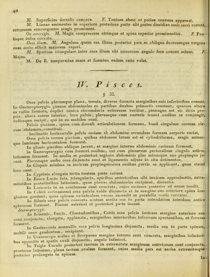 ]V/. Superficies dorsalis concava. F. Tantum abest ut potius convexa appareat. ^ M. Lineae eminentes in superiore posteriore parte ubi partes dimidiae ossis sacri coeunt,, retrorsum convergentes magis prominent. Os coccygis. 1\J. Magis comp^ressuiu utrinque et spina superior prominentioV. F, Pau- lisper infra curvata. ' Ossa ilium, M. Angulum quem oss. ilium posterior pars ex obliquo deorsumque vergens - cum socio efficit majorem reperi. 31. Spatium triangulare inter ossa ilium ubi retrorsum a.ng.ulo' fere coeunt minus, F.. Majus. M. De R. temporariae mare et foemina eadem ratio yalet. IF. Pisces. § 32. Ossa pelvis plerumquo plana, tenuia, diverse formata marginibus suis inferioribus coeunt. In Gasteropterygiis pinnae abdominales ex partibus duabus primariis constant, quarum altera ex radiis formata, duplici tunica circumducta extrorsnm vertitur, pinnaque est sic dicta pro- pria, altera autem interior, loco pelvis, plerumque cum caeteris trunci ossibus .s-e conjungit, radiosque recipit, qui in ea mobiles sunt. Pelvis piscium, spina cum dorsali articulationem formans, haud cingulum osseum cir- cum abdomen * constituit. Inclinatio horizontalis pelvis ossium ab abdomine secundum formam corporis variat, Ossa pelvis'eorum piscium, quibus abdomen latum est et cylindriforme, magis minus- que laminam horizontalem formaii.t. In planis piscibus oblique jacent, et margine interno abdominis carinam formant. In Gasteropterygiis cum humeri ossibus, aut cum pinnarum pectoralium cingulo articu- Lationem formant. In media et posteriori regione abdominis plus minusque ano propinqua ja- cent Plerumque ambo ossa disjuncta sunt et ligamentis adjuta in situ detinentur. In Clupeis minima se invicem propinquissima ussibus parvis se applicant, quae sterni loco sunt. In Cyprinis elo.ngata tertia tantum parte coeunt. In Esoce Lucio lata, triangularia., apicibus anterioribus sibi invicem approximatis, extre- mitatibus posterioribus latissimis, quae pijina.s abdominales recipiunt, distantia. In Loricaria in os continuum sunt concreta, cujus excisura posterior ad anum tendit. In Cobiti surinamensi ossa pelvis valde disjuncta et in margino suo exteriore spina lon- Pissima gaudent., quae spinam vertebralem vei.sus aseendit et paralella costis curvatur. In Siluris ossa pelvis -conoieta sentum media sim iii pi^rtc rotundatum interdum antice spinosum formant. Pinnae exteriori et posteriori parte insunt. Sternopterygii. In Sciaenis, Percis, Chaetodontibns, Cottis ossa pelvis invicem margino anteriore suo ■ «-unt conjuncta, elongata, applanata, marginibus interioribus infiorsum siDectantibus,, ut foveam Gasterosteis nonnullis ossa pelvis longissima disjuncta, inedia sua in parte spinam,. mobili nexu gauaentem, recipiunt. ... . . . In Uranoscopo scabro et Scorpaena margine interno sunt concreta, marginibus inferiori- bus oppo-sitis ct spatio ovali disjunctis, angulo inferiori. In Trigla Cuculo posteriori tantum in extremitate marginum anteriorum snnt conjuncta, , praeterea latissima, plana testam -ovaletn formant, cujus media pars est excisa extreraitasque • posterior prolongata in apicem. ' ^