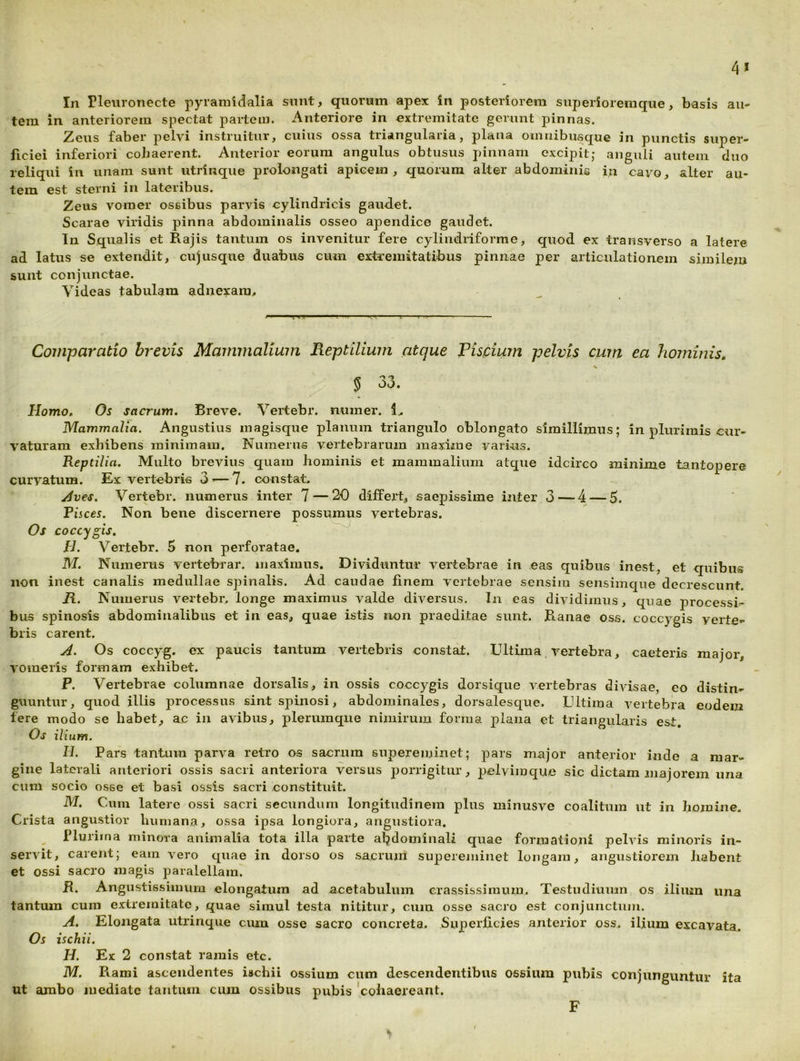 4* In rieuronecte pyramidalia snnt, quorum apex in posteriorem superioremque, basis au- tem in anteriorem spectat partem. Anteriore in extremitate gerunt pinnas. Zeus faber pelvi instruitur, cuius ossa triangularia, plana omiiibusque in punctis super- ficiei inferiori cohaerent. Anterior eorum angulus obtusus pinnam excipit; anguli autem duo reliqui in unam sunt utrinque prolongati apicem , quorum alter abdominis in cavo, alter au- tem est sterni in lateribus. Zeus vomer ossibus parvis cylindricis gaudet. Scarae viridis pinna abdominalis osseo apendice gaudet. In Squalis et Rajis tantum os invenitur fere cylindriforme, quod ex transverso a latere ad latus se extendit, cujusque duabus cum extremitatibus pinnae per articulationem similem sunt conjunctae. Videas tabulam adnexam. Comparatio brevis Mammalium Reptilium atque Fispiuin pelvis cum ea hominis, % Homo, Os sacrum. Breve. Vertebr. nuiner. 1, Mammalia. Angustius magisque planum triangulo oblongato simillimus; in plurimis cur- vaturam exhibens minimam. Numerus vertebrarum maxime varius. Reptilia. Multo brevius quam hominis et mammalium atque idcirco minime tantopere curvatura. Ex vertebris 3 •—7. constat. yives. Vertebr. numerus inter 7 — 20 difPert, saepissime inter 3—-4 — 5. Pisces. Non bene discernere possumus vertebras. Os coccygis, pl. Vertebr. 5 non perforatae. M. Numerus vertebrar. maximus. Dividuntur vertebrae in eas quibus inest, et quibus non inest canalis medullae spinalis. Ad caudae finem vertebrae sensim sensimque decrescunt. R. Numerus vertebr. longe maximus valde diversus. In eas dividimus, quae processi- bus spinosis abdominalibus et in eas, quae istis non praeditae sunt. Ranae oss. coccygis verte- bris carent. A. Os coccyg. ex paucis tantum vertebris constat. Ultima, vertebra, caeteris major, vomeris formam exhibet. P. Vertebrae columnae dorsalis, in ossis coccygis dorsique vertebras divisae, eo distin- guuntur, quod illis processus sint spinosi, abdominales, dorsalesque. Ultima vertebra eodera fere modo se habet, ac in avibus, plerumque nimirum forma plana et triangularis est. Os ilium. II. Pars tantum parva retro os sacruin supereminet; pars major anterior inde a mar- gine laterali anteriori ossis sacri anteriora versus porrigitur, pelvimquo sic dictam majorem una cum socio osse et basi ossis sacri constituit. M. Cum latere ossi sacri secundum longitudinem plus minusve coalitum ut in homine. Crista angustior humana, ossa ipsa longiora, angustiora. Plurima minora animalia tota illa parte abdominali quae formationi pelvis minoris in- servit, carent; eam vero c[uae in dorso os sacrum supereminet longam, angustiorem Jiabent et ossi sacro magis paralellam. JR. Angustissimum elongatura ad acetabulum crassissimum. Testudiiimn os ilium una tantum cum extremitate, quae simul testa nititur, cum osse sacro est conjunctum. A. Elongata utrinque cum osse sacro concreta. Superficies anterior oss. ilium excavata. Os ischii. H. Ex 2 constat ramis etc. M. Rami ascendentes ischii ossium cum descendentibus ossium pubis conjunguntur ita ut ambo mediate tantum ciun ossibus pubis 'cohaereant. F