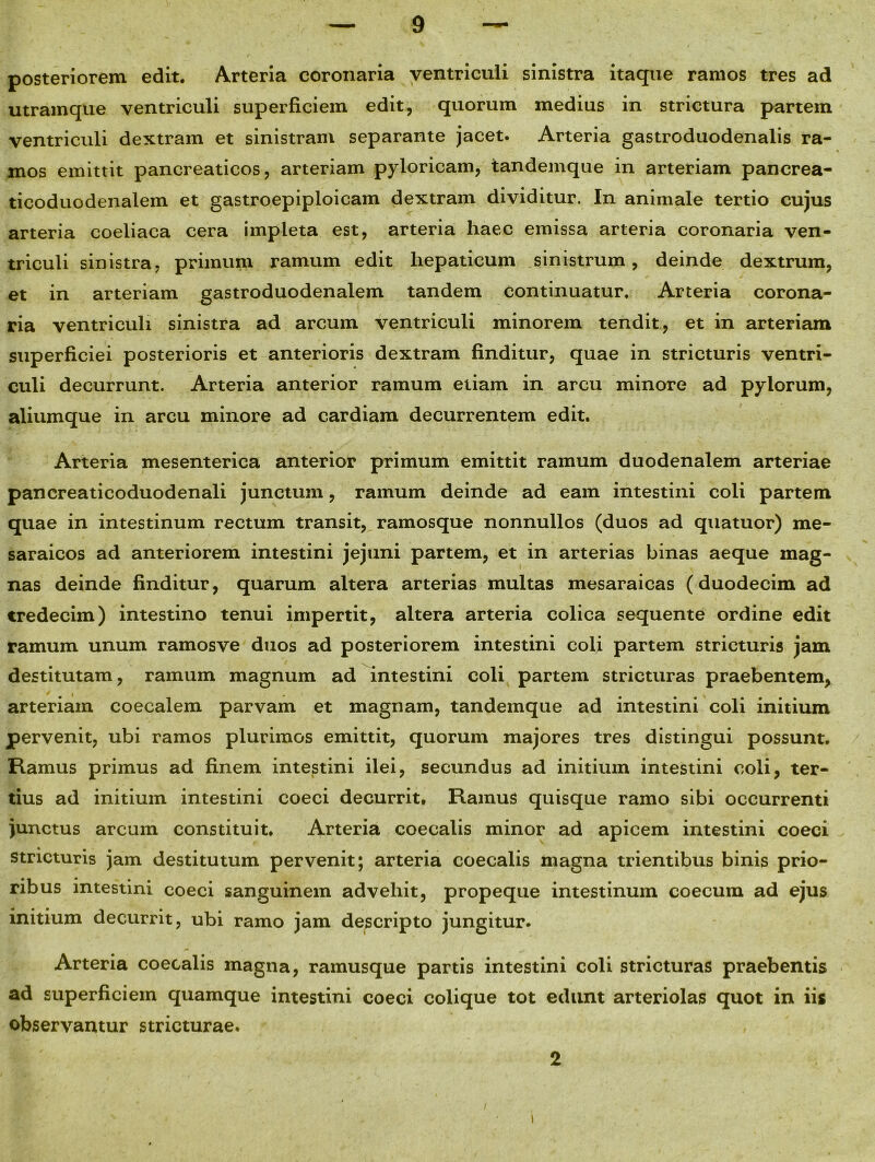 posteriorem edit. Arteria coronaria ventriculi sinistra itaque ramos tres ad utramque ventriculi superficiem edit, quorum medius in strictura partein ventriculi dextram et sinistram separante jacet. Arteria gastroduodenalis ra- mos emittit pancreaticos, arteriam pyloricam, tandemque in arteriam pancrea- ticoduodenalem et gastroepiploicam dextram dividitur. In animale tertio cujus arteria coeliaca cera impleta est, arteria haec emissa arteria coronaria ven- triculi sinistra, primum ramum edit hepaticum sinistrum, deinde dextrum, et in arteriam gastroduodenalem tandem continuatur. Arteria corona- ria ventriculi sinistra ad arcum ventriculi minorem tendit, et in arteriam superficiei posterioris et anterioris dextram finditur, quae in stricturis ventri- culi decurrunt. Arteria anterior ramum etiam in arcu minore ad pylorum, aliumque in arcu minore ad cardiam decurrentem edit. Arteria mesenterica anterior primum emittit ramum duodenalem arteriae pancreaticoduodenali junctum, ramum deinde ad eam intestini coli partem quae in intestinum rectum transit, ramosque nonnullos (duos ad quatuor) me- saraicos ad anteriorem intestini jejuni partem, et in arterias binas aeque mag- nas deinde finditur, quarum altera arterias multas mesaraicas (duodecim ad tredecim) intestino tenui impertit, altera arteria colica sequente ordine edit ramum unum ramosve duos ad posteriorem intestini coli partem stricturis jam destitutam, ramum magnum ad intestini coli partem stricturas praebentem* arteriam coecalem parvam et magnam, tandemque ad intestini coli initium pervenit, ubi ramos plurimos emittit, quorum majores tres distingui possunt. Ramus primus ad finem intestini ilei, secundus ad initium intestini coli, ter- tius ad initium intestini coeci decurrit. Ramus quisque ramo sibi occurrenti junctus arcum constituit. Arteria coecalis minor ad apicem intestini coeci stricturis jam destitutum pervenit; arteria coecalis magna trientibus binis prio- ribus intestini coeci sanguinem advehit, propeque intestinum coecum ad ejus initium decurrit, ubi ramo jam descripto jungitur. Arteria coecalis magna, ramusque partis intestini coli stricturas praebentis ad superficiem quamque intestini coeci colique tot edunt arteriolas quot in iis observantur stricturae. 2