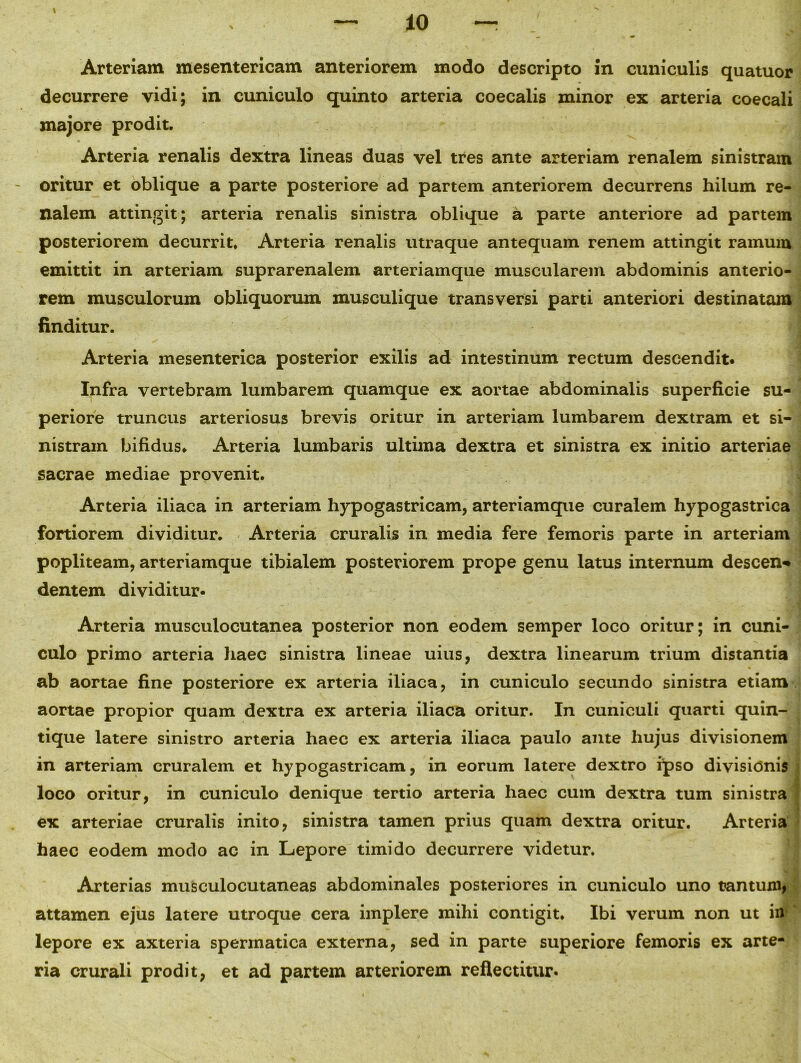 10 Arteriam mesentericam anteriorem modo descripto in cuniculis quatuor decurrere vidi; in cuniculo quinto arteria coecalis minor ex arteria coecali majore prodit. Arteria renalis dextra lineas duas vel tres ante arteriam renalem sinistram oritur et oblique a parte posteriore ad partem anteriorem decurrens hilum re- nalem attingit; arteria renalis sinistra oblique a parte anteriore ad partem posteriorem decurrit. Arteria renalis utraque antequam renem attingit ramum emittit in arteriam suprarenalem arteriamque muscularem abdominis anterio- rem musculorum obliquorum musculique transversi parti anteriori destinatam finditur. Arteria mesenterica posterior exilis ad intestinum rectum descendit. Infra vertebram lumbarem quamque ex aortae abdominalis superficie su- periore truncus arteriosus brevis oritur in arteriam lumbarem dextram et si- nistram bifidus. Arteria lumbaris ultima dextra et sinistra ex initio arteriae sacrae mediae provenit. Arteria iliaca in arteriam hypogastricam, arteriamque curalem hypogastrica fortiorem dividitur. Arteria cruralis in media fere femoris parte in arteriam popliteam, arteriamque tibialem posteriorem prope genu latus internum descen** dentem dividitur* Arteria musculocutanea posterior non eodem semper loco oritur; in cuni- culo primo arteria haec sinistra lineae uius, dextra linearum trium distantia ab aortae fine posteriore ex arteria iliaca, in cuniculo secundo sinistra etiam aortae propior quam dextra ex arteria iliaca oritur. In cuniculi quarti quin- tique latere sinistro arteria haec ex arteria iliaca paulo ante hujus divisionem in arteriam cruralem et hypogastricam, in eorum latere dextro ipso divisionis loco oritur, in cuniculo denique tertio arteria haec cum dextra tum sinistra ex arteriae cruralis inito, sinistra tamen prius quam dextra oritur. Arteria haec eodem modo ac in Lepore timido decurrere videtur. T > Arterias musculocutaneas abdominales posteriores in cuniculo uno tantum, attamen ejus latere utroque cera implere mihi contigit. Ibi verum non ut in lepore ex axteria spermatica externa, sed in parte superiore femoris ex arte- ria crurali prodit, et ad partem arteriorem reflectitur*