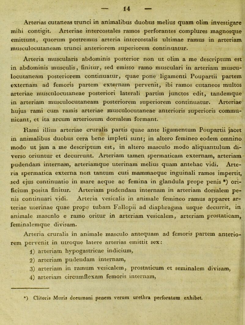 Arterias cutaneas trunci in animalibus duobus melius quam olim investigare mihi contigit. Arteriae intercostales ramos perforantes complures magnosque emittunt, quorum postremus arteria intercostalis ultimae ramus in arteriam musculocutaneam trunci anteriorem superiorem continuatur. Arteria muscularis abdominis posterior non ut olim a me descriptum est in abdominis musculis, finitur, sed emisso ramo musculari in arteriam muscu- locutaneam posteriorem continuatur, quae pone ligamenti Poupartii partem externam ad femoris partem externam pervenit, ibi ramos cutaneos multos arteriae musculocutaneae posteriori laterali partim junctos edit, tandemque in arteriam musculocutaneam posteriorem superiorem continuatur. Arteriae hujus rami cum ramis arteriae musculocutaneae anteriori,s superioris commu- nicant, et ita arcum arteriosum dorsalem formant. Rami illius arteriae cruralis partis quae ante ligamentum Poupartii jacet in animalibus duobus cera bene impleti sunt; in altero femineo eodem omnino modo ut jam a me descriptum est , in altero masculo modo aliquantulum di- verso oriuntur et decurrunt. Arteriam tamen spermaticam externam, arteriam pudendam internam, arteriamque uterinam melius quam antehac vidi, Arte- ria spermatica externa non tantum cuti mammaeque inguinali ramos impertit, sed ejus continuatio in mare aeque ac femina in glandula prope penis *) ori- ficium posita finitur. Arteriam pudendam internam in arteriam dorsalem pe- nis continuari vidi. Arteria vesicalis in animale femineo ramus apparet ar- teriae uterinae quae prope tubam Fallopii ad diaphragma usque decurrit, in animale mascnlo e ramo oritur in arteriam vesicalem, arteriam prostaticam, feminalemque divisam. Arteria cruralis in animale masculo antequam ad femoris partem anterio- rem pervenit in utroque latere arterias emittit sex: 1) arteriam hypogastricae indicium, 2) arteriam pudendam internam, 3) arteriam in ramum vesicalem, prostaticum et seminalem divisam, 4) arteriam circumflexam femoris internam, *) Clitoris Muris decumani penem verum urethra perforatum exhibet,