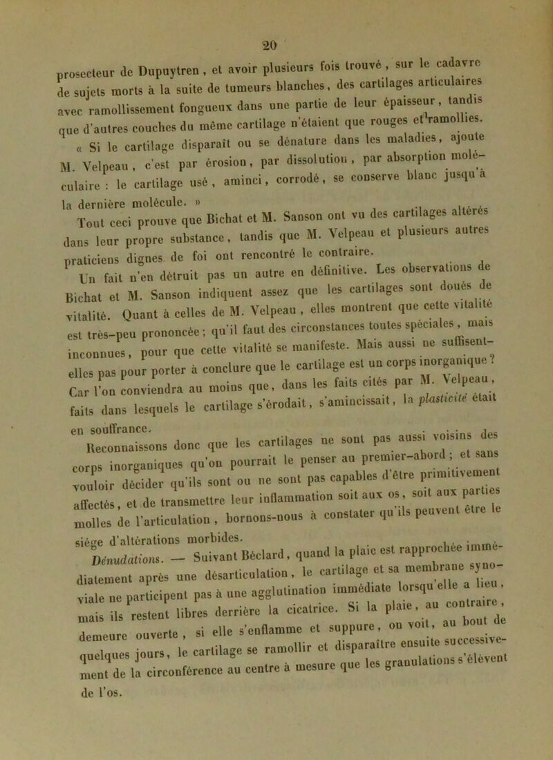 prosecteur de Dupuytren , el avoir plusieurs l'ois trouvé , sur le cadavre de sujets morts à la suite de tumeurs ldaoches, des cartilages articulaires avec ramollissement fougueux dans une partie de leur épaisseur, tandis que d'autres couches du même cartilage notaient que rouges et ramollies. „ Si le cartilage disparait ou se dénature dans les maladies, ajoute M. Velpeau, c'est par érosion, par dissolution, par absorption molé- culaire : le cartilage usé , aminci, corrodé, se conserve blanc jusqu a la dernière molécule. » , , , Tout ceci prouve que Bichal et M. Sanson ont vu des cartilages altérés dans leur propre substance, tandis que M. Velpeau et plusieurs autres praticiens dignes de foi ont rencontré le contraire. Un fait n'en détruit pas un autre en définitive. Les observations de Bichat et M. Sanson indiquent assez que les cartilages sont ou 5 « vitalité. Quant à celles de M. Velpeau , elles montrent que cette vitalité est très-peu prononcée -, qu'il faut des circonstances toutes spéciales mais inconnues, pour que cette vitalité se ma,.,leste. Mais aussi ne sutfisen elles pas pour porter à conclure que le cartilage est un corps inorganique . Car l’on conviendra au moins que, dans les faits cites par . c Pea ' faits dans lesquels le cartilage s’érodait, s'amincissait, la plasttc.te était e Reconnaissons donc que les cartilages ne sont pas ““ ^ corps inorganiques qu’on pourrait le penser au premier-abord, et vouloir décider qu'ils sont ou ne sont pas capables <1 etre pr.m.tiveme affectés et de transmettre leur inflammation soit aux os soit aux parties “de l’articulation , bornons-nous b constater qu'ils peuvent etre le cîûcre d’altérations morbides. . ■ Dénudations. - Suivant Béclard. quand la plaie est rapprochée '“'“J diatement après une désarticulation, le cartilage et sa membrane syn !i n par ,cipen, pas b une agglutination immédiate lorsqu elle a lie , :::!:,s'restent libres derrière la cicatrice. Si la plate. - —; demeure ouverte, si elle s’enflamme et suppure quelques jours, le cartilage se ramollir et disparaître ment de la circonférence au centre b mesure que les grau de l’os.