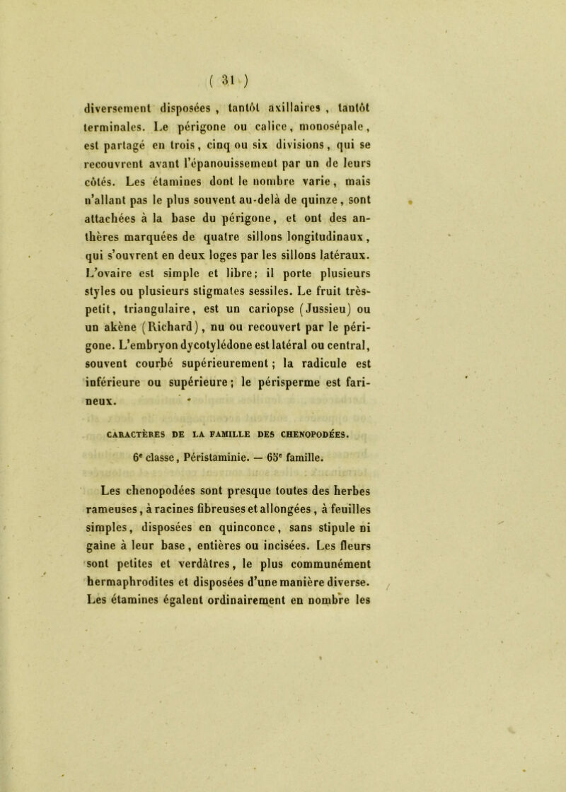 diversement disposées , tantôt axillaires , tantôt terminales. Le périgone ou calice, monosépale, est partagé en trois, cinq ou six divisions, qui se recouvrent avant Tépanouissement par un de leurs côtés. Les étamines dont le nombre varie, mais u’allant pas le plus souvent au-delà de quinze, sont attachées à la base du périgone, et ont des an- thères marquées de quatre sillons longitudinaux, qui s’ouvrent en deux loges par les sillons latéraux. L’ovaire est simple et libre; il porte plusieurs styles ou plusieurs stigmates sessiles. Le fruit très- petit, triangulaire, est un cariopse (Jussieu) ou un akène (Richard), nu ou recouvert par le péri- gone. L’embryon dycotylédone est latéral ou central, » souvent courbé supérieurement ; la radicule est inférieure ou supérieure ; le périsperme est fari- neux. CARACTÈRES DE LA FAMILLE DES CHENQPODÉES. 6® classe, Péristaminie. — 6S® famille. Les chenopodées sont presque toutes des herbes rameuses, à racines fibreuses et allongées, à feuilles simples, disposées en quinconce, sans stipule ni gaine à leur base, entières ou incisées. Les fleurs sont petites et verdâtres, le plus communément hermaphrodites et disposées d’une manière diverse. / Les étamines égalent ordinairement en noinbre les 1