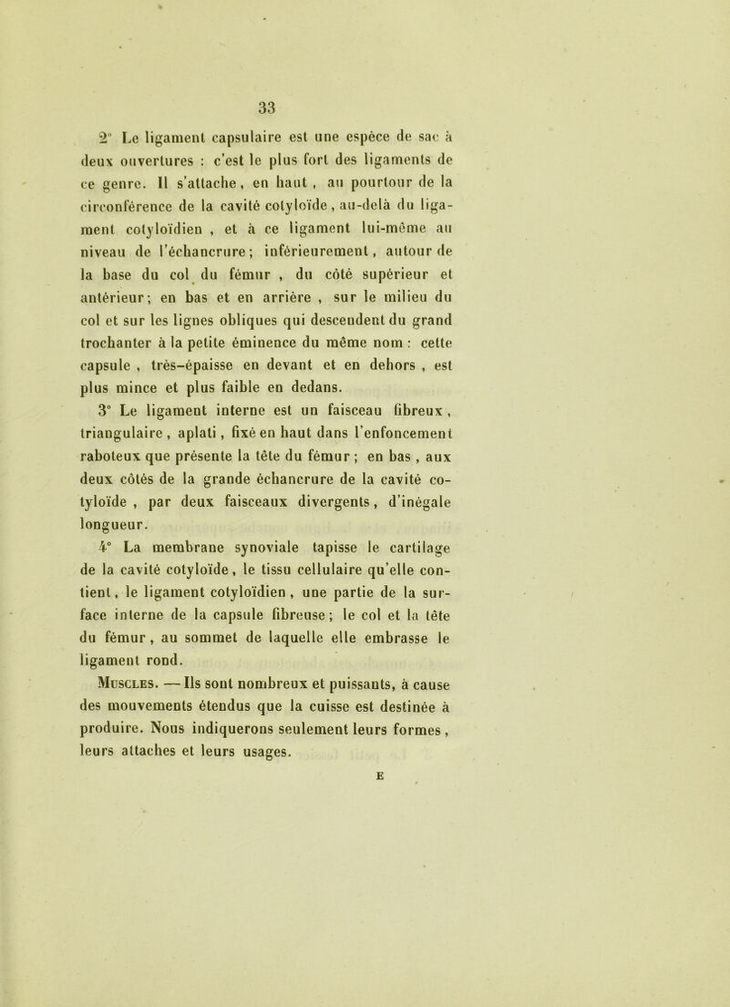 2° Le ligament capsulaire est une espèce de sac à deux ouvertures : c’est le plus fort des ligaments de ce genre. 11 s’attache, en haut , au pourtour de la circonférence de la cavité colyloïde, au-delà du liga- ment cotyloïdieu , et à ce ligament lui-même au niveau de l’échancrure; inférieurement, autour de la base du col du fémur , du côté supérieur et antérieur; en bas et en arrière , sur le milieu du col et sur les lignes obliques qui descendent du grand trochanter à la petite éminence du même nom : cette capsule , très-épaisse en devant et en dehors , est plus mince et plus faible en dedans. 3° Le ligament interne est un faisceau fibreux , triangulaire, aplati, fixé en haut dans l’enfoncement raboteux que présente la tête du fémur ; en bas , aux deux côtés de la grande échancrure de la cavité co- tyloïde , par deux faisceaux divergents, d’inégale longueur. 4° La membrane synoviale tapisse le cartilage de la cavité cotyloïde, le tissu cellulaire qu’elle con- tient, le ligament cotyloïdien , une partie de la sur- face interne de la capsule fibreuse; le col et la tête du fémur , au sommet de laquelle elle embrasse le ligament rond. Muscles. —Ils sont nombreux et puissants, à cause des mouvements étendus que la cuisse est destinée à produire. Nous indiquerons seulement leurs formes , leurs attaches et leurs usages. E
