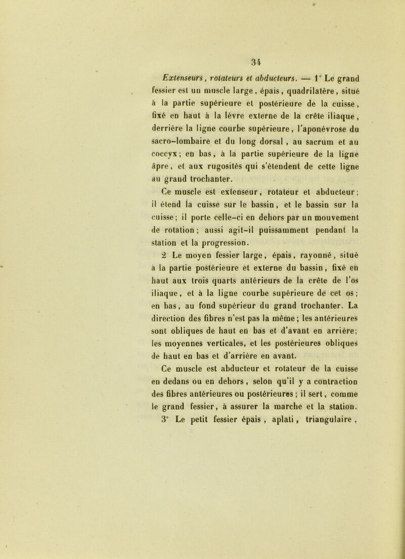 Extenseurs, rotateurs et abducteurs. — 1° Le grand fessier esl un muscle large, épais, quadrilatère, situé à la partie supérieure et postérieure de la cuisse, fixé en haut à la lèvre externe de la crête iliaque, derrière la ligne courbe supérieure, l’aponévrose du sacro-lombaire et du long dorsal , au sacrum et au coccyx; en bas, à la partie supérieure de la ligne âpre, et aux rugosités qui s’étendent de cette ligne au grand trochanter. Ce muscle est extenseur, rotateur et abducteur; il étend la cuisse sur le bassin, et le bassin sur la cuisse ; il porte celle-ci en dehors par un mouvement de rotation ; aussi agit-il puissamment pendant la station et la progression. 2 Le moyen fessier large, épais, rayonné, situé à la partie postérieure et externe du bassin, fixé en haut aux trois quarts antérieurs de la crête de l’os iliaque, et à la ligne courbe supérieure de cet os; en bas, au fond supérieur du grand trochanter. La direction des fibres n’est pas la même; les antérieures sont obliques de haut en bas et d’avant en arrière; les moyennes verticales, et les postérieures obliques de haut en bas et d’arrière en avant. Ce muscle est abducteur et rotateur de la cuisse en dedans ou en dehors, selon qu’il y a contraction des fibres antérieures ou postérieures ; il sert, comme le grand fessier, à assurer la marche et la station. 3° Le petit fessier épais , aplati, triangulaire ,