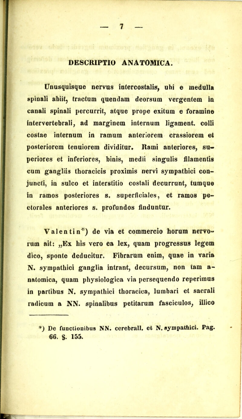 DESCRIPTIO ANATOMICA. Unusquisque nervus intercostalis, ubi e medulla spinali abiit, tractum quendam deorsum vergentem in canali spinali percurrit, atque prope exitum e foramine intervertebrali, ad marginem internum ligament. colli costae internum in ramum anteriorem crassiorem ei posteriorem tenuiorem dividitur* Rami anteriores, su- periores et inferiores, binis, medii singulis filamentis cum gangliis thoracicis proximis nervi sympathici con- juncti, in sulco et interstitio costali decurrunt, tumque in ramos posteriores s. superficiales, et ramos pe- ctorales anteriores s. profundos finduntur. Valenti n*) de via et commercio horum nervo- rum ait: „Ex his vero ea lex, quam progressus legem dico, sponte deducitur. Fibrarum enim, quae in varia N. sympathici ganglia intrant, decursum, non tam a- natomica, quam physiologica via persequendo reperimus in partibus N. sympathici thoracica, lumbari et sacrali radicum a NN. spinalibus petitarum fasciculos, illico *) De functionibus NN. cerebrali, et N. sympathici. Pag. 66, §. 155.