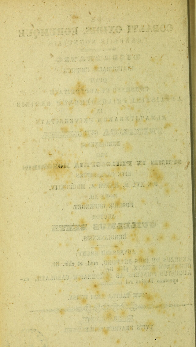 digitised image 2