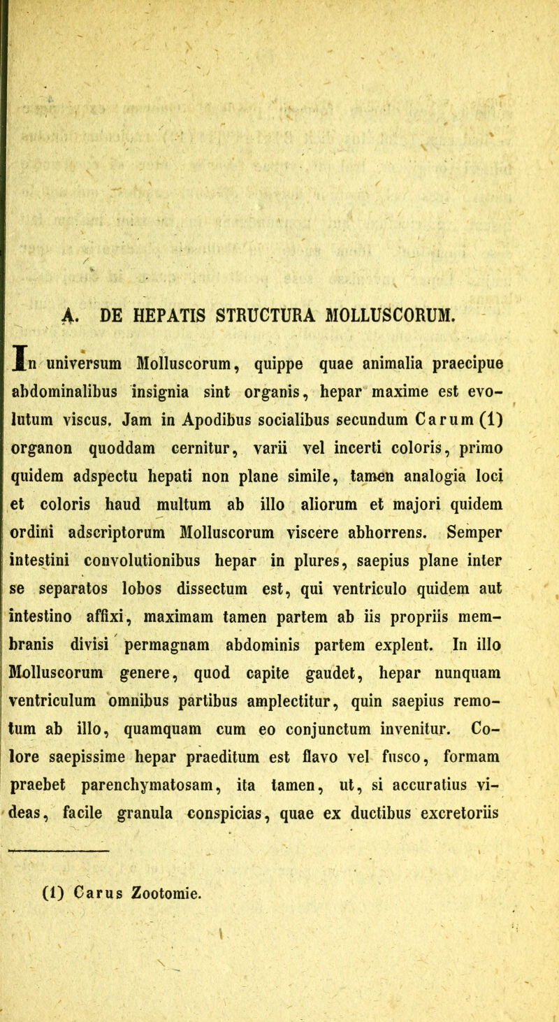 A. DE HEPATIS STRUCTURA MOLLUSCORUM. In universum Molluscorum, quippe quae animalia praecipue abdominalibus insignia sint organis, hepar maxime est evo- lutum viscus. Jam in Apodibus socialibus secundum Carum (1) organon quoddam cernitur, varii vel incerti coloris, primo quidem adspectu hepati non plane simile, tamen analogia loci et coloris haud multum ab illo aliorum et majori quidem ordini adscriptorum Molluscorum viscere abhorrens. Semper intestini convolutionibus hepar in plures, saepius plane inter se separatos lobos dissectum est, qui ventriculo quidem aut intestino affixi, maximam tamen partem ab iis propriis mem- branis divisi permagnam abdominis partem explent. In illo Molluscorum genere, quod capite gaudet, hepar nunquam ventriculum omnibus partibus amplectitur, quin saepius remo- tum ab illo, quamquam cum eo conjunctum invenitur. Co- lore saepissime hepar praeditum est flavo vel fusco, formam praebet parenchymatosam, ita tamen, ut, si accuratius vi- deas, facile granula conspicias, quae ex ductibus excretoriis (1) Carus Zootomie.