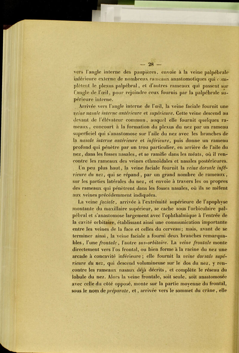 vers l’angle interne des paupières, envoie à la veine palpébrale Inférieure externe de nombreux ranjeaux anastomotiques qui com- plètent le plexus palpébral, et d’autres rameaux qui passent sur llangle de l’œil, pour rejoindre ceux fournis par la palpébrale su- périeure interne. Arrivée vers l’angle interne de l’œil, la veine faciale fournit une veine nasale interne antérieure et supérieure, Cette veine descend au devant de l’élévateur commun, auquel elle fournit quelques ra- meaux , concourt à la formation du plexus du nez par un rameau superficiel qui s’anastomose sur l’aile du nez avec les branches de la nasale interne antérieure et inférieure, puis donne un rameau profond qui pénètre par un trou particulier, en arrière de l’aile du nez, dans les fosses nasales, et se ramifie dans les méats, où il ren- contre les rameaux des veines ethmoïdales et nasales postérieures. Un peu plus haut, la veine faciale fournit la veine dorsale infé-- rieure du nez, qui se répand, par un grand nombre de rameaux, sur les parties latérales du nez, et envoie à travers les os propres des rameaux qui pénètrent dans les fosses nasales, où ils se mêlent aux veines précédemment indiquées. La veine faciale, arrivée à l’extrémité supérieure de l’apophyse montante du maxillaire supérieur, se cache sous l’orbiculaire pal- pébral et s’anastomose largement avec l’ophthalmique à l’entrée de la cavité orbitaire, établissant ainsi une communication importante entre les veines de la face et celles du cerveau; mais, avant de se terminer ainsi, la veine faciale a fourni deux branches remarqua- bles , l’une frontale, l’autre su s~ or bit aire. La veine frontale monte directement vers l’os frontal, ou bien forme à la racine du nez une arcade à concavité inférieure ; elle fournit la veine dorsale supé- rieure du nez, qui descend volumineuse sur le dos du nez, y ren- contre les rameaux nasaux déjà décrits, et complète le réseau du lobule du nez. Alors la veine frontale, soit seule, soit anastomosée avec celle du côté opposé, monte sur la partie moyenne du frontal, sous le nom depréparote, et, arrivée vers le sommet du crâne, elle