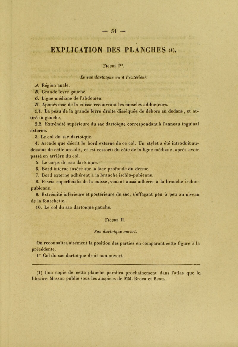 EXPLICATION DES PLANCHES (0. Figure Ire. Le sac dartoïque vu à l'extérieur. A. Région anale. B. Grande lèvre gauche. C. Ligne médiane de l’abdomen. D. Aponévrose de la cuisse recouvrant les muscles adducteurs. 1.1. La peau de la grande lèvre droite disséquée de dehors en dedans, et at- tirée à gauche. 2.2. Extrémité supérieure du sac dartoïque correspondant à l’anneau inguinal externe. 3. Le col du sac dartoïque. 4. Arcade que décrit le bord externe de ce col. Un stylet a été introduit au- dessous de cette arcade, et est ressorti du côté de la ligne médiane, après avoir passé en arrière du col. 5. Le corps du sac dartoïque. 6. Bord interne inséré sur la face profonde du derme. 7. Bord externe adhérent à la branche ischio-pubienne. 8. Fascia superficialis de la cuisse, venant aussi adhérer à la branche ischio- pubienne. 9. Extrémité inférieure et postérieure du sae, s’effaçant peu à peu au niveau de la fourchette. 10. Le col du sac dartoïque gauche. Figure II. Sac dartoïque ouvert. On reconnaîtra aisément la position des parties en comparant cette figure à la précédente. 1° Col du sac dartoïque droit non ouvert. (1) Une copie de cette planche paraîtra prochainement dans l’atlas que le libraire Masson publie sous les auspices de MM. Broca et Beau.