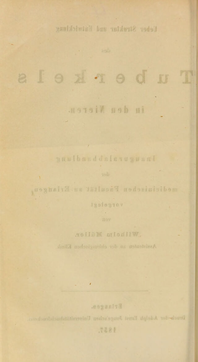 digitised image 2