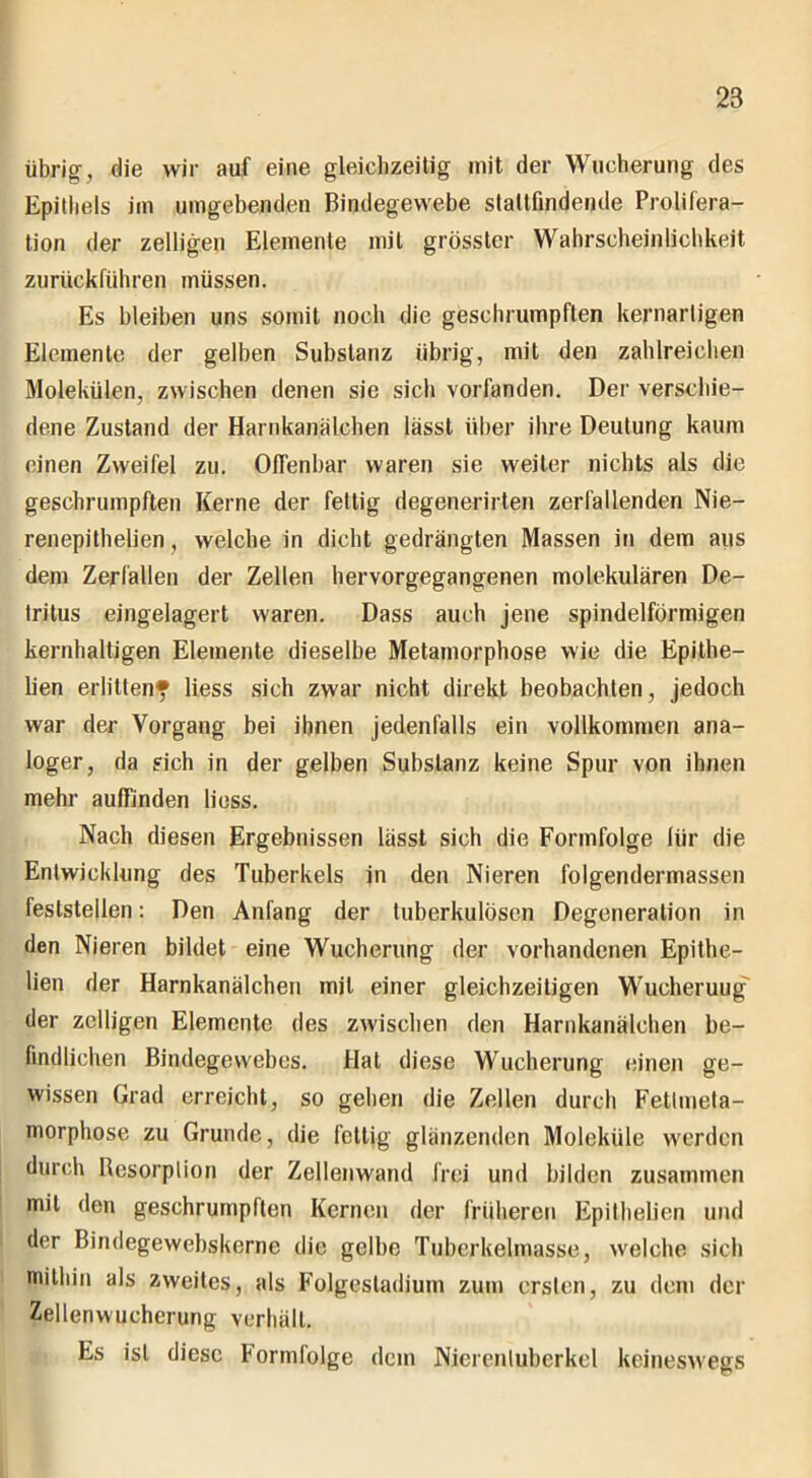 28 übrig-, die wir auf eine gleichzeitig init der Wucherung des Epithels im umgebenden Bindegewebe slaltfmdende Prolifera- tion der zelligen Elemente mit grösster Wahrscheinlichkeit zurückführen müssen. Es bleiben uns somit noch die geschrumpften kernartigen Elemente der gelben Substanz übrig, mit den zahlreichen Molekülen, zwischen denen sie sich vorfanden. Der verschie- dene Zustand der Harnkanälchen lässt über ihre Deutung kaum einen Zweifel zu. Offenbar waren sie weiter nichts als die geschrumpften Kerne der fettig degenerirten zerfallenden Nie- renepithelien, welche in dicht gedrängten Massen in dem aus dem Zerfallen der Zellen hervorgegangenen molekularen De- tritus eingelagert waren. Dass auch jene spindelförmigen kernhaltigen Elemente dieselbe Metamorphose wie die Epithe— lien erlitten? liess sich zwar nicht direkt beobachten, jedoch war der Vorgang bei ihnen jedenfalls ein vollkommen ana- loger, da sich in der gelben Substanz keine Spur von ihnen mehr auffinden liess. Nach diesen Ergebnissen lässt sich die Formfolge liir die Entwicklung des Tuberkels in den Nieren folgendennassen feststellen: Den Anfang der tuberkulösen Degeneration in den Nieren bildet eine Wucherung der vorhandenen Epithe- lien der Harnkanälchen mit einer gleichzeitigen Wueheruug der zelligen Elemente des zwischen den Harnkanälchen be- findlichen Bindegewebes. Hat diese Wucherung einen ge- wissen Grad erreicht, so gehen die Zellen durch Fettmeta- morphose zu Grunde, die fettig glänzenden Moleküle werden durch Bcsorplion der Zellenwand frei und bilden zusammen mit den geschrumpften Kernen der früheren Epithelien und der Bindegewebskerne die gelbe Tuberkelmasse, welche sich mithin als zweites, als Folgesladium zum ersten, zu dem der Zellenwucherung verhält. Es ist diese Formfolge dein Nierentuberkel keineswegs