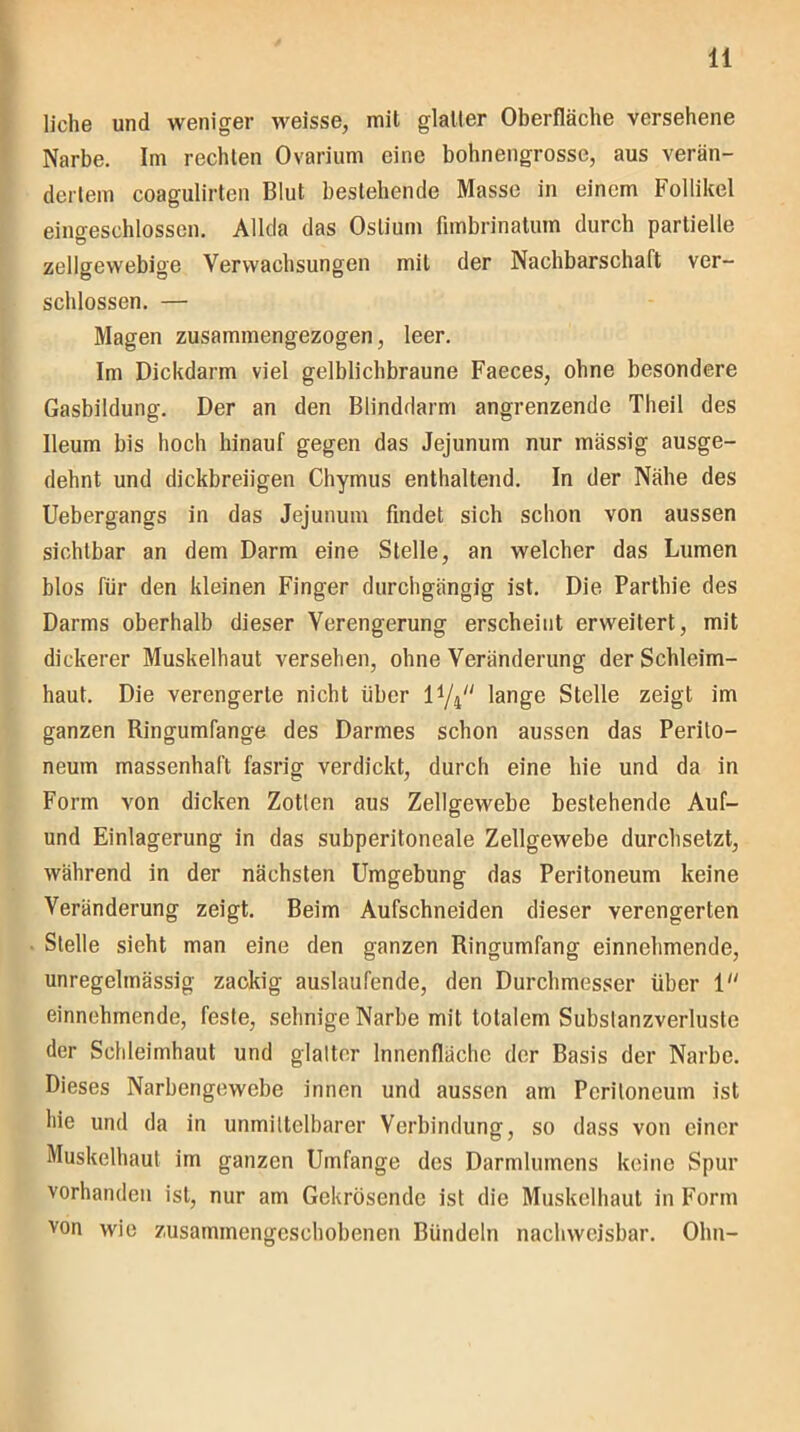 liehe und weniger weisse, mil glaller Oberfläche versehene Narbe. Im rechten Ovarium eine bohnengrosse, aus verän- dertem coagulirten Blut bestehende Masse in einem Follikel eingeschlossen. Allda das Oslium fimbrinatum durch partielle zellgewebige Verwachsungen mil der Nachbarschaft ver- schlossen. — Magen zusammengezogen, leer. Im Dickdarm viel gelblichbraune Faeces, ohne besondere Gasbildung. Der an den Blinddarm angrenzende Theil des Ileum bis hoch hinauf gegen das Jejunum nur massig ausge- dehnt und dickbreiigen Chymus enthaltend. In der Nähe des Uebergangs in das Jejunum findet sich schon von aussen sichtbar an dem Darm eine Stelle, an welcher das Lumen blos für den kleinen Finger durchgängig ist. Die Parthie des Darms oberhalb dieser Verengerung erscheint erweitert, mit dickerer Muskelhaut versehen, ohne Veränderung der Schleim- haut. Die verengerte nicht über iy4 lange Stelle zeigt im ganzen Ringumfange des Darmes schon aussen das Perito- neum massenhaft fasrig verdickt, durch eine hie und da in Form von dicken Zotlen aus Zellgewebe bestehende Auf- und Einlagerung in das subperitoneale Zellgewebe durchsetzt, während in der nächsten Umgebung das Peritoneum keine Veränderung zeigt. Beim Aufschneiden dieser verengerten Stelle sieht man eine den ganzen Ringumfang einnehmende, unregelmässig zackig auslaufende, den Durchmesser über 1 einnehmende, feste, sehnige Narbe mit totalem Subslanzverluste der Schleimhaut und glatter Innenfläche der Basis der Narbe. Dieses Narbengewebe innen und aussen am Peritoneum ist hie und da in unmittelbarer Verbindung, so dass von einer Muskelhaut im ganzen Umfange des Darmlumens keine Spur vorhanden ist, nur am Gekrösende ist die Muskelhaut in Form von wie zusammengeschobenen Bündeln nachweisbar. Olm-