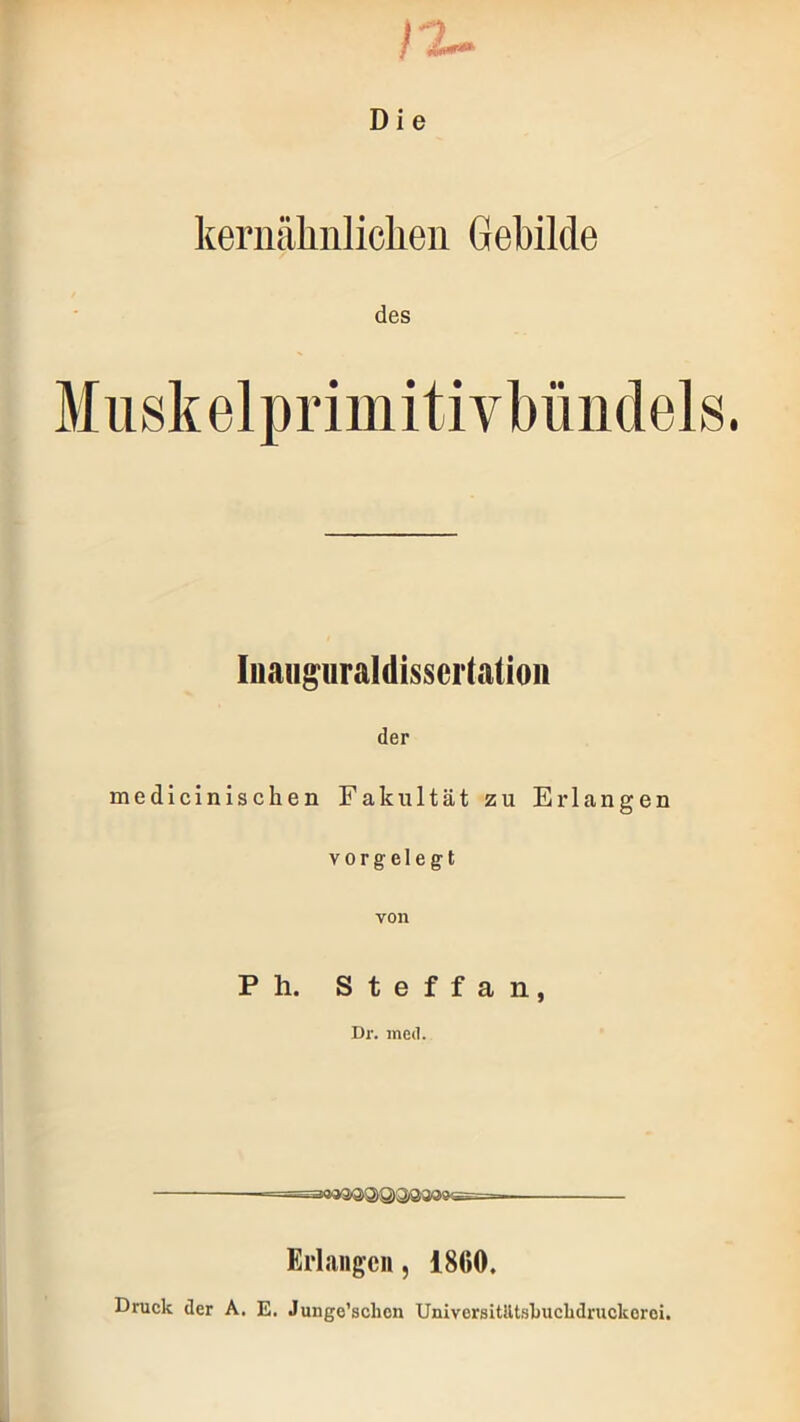 /o- Die kernälinliclieii Gebilde des luau^uraldissertatioii der medicinischen Fakultät zu Erlangen vorgelegt von Ph. Steffan, Dr. ined. Erlangen, 1860, Druck der A. E. Junge’sclicn Universiültslnicbdruckoroi.