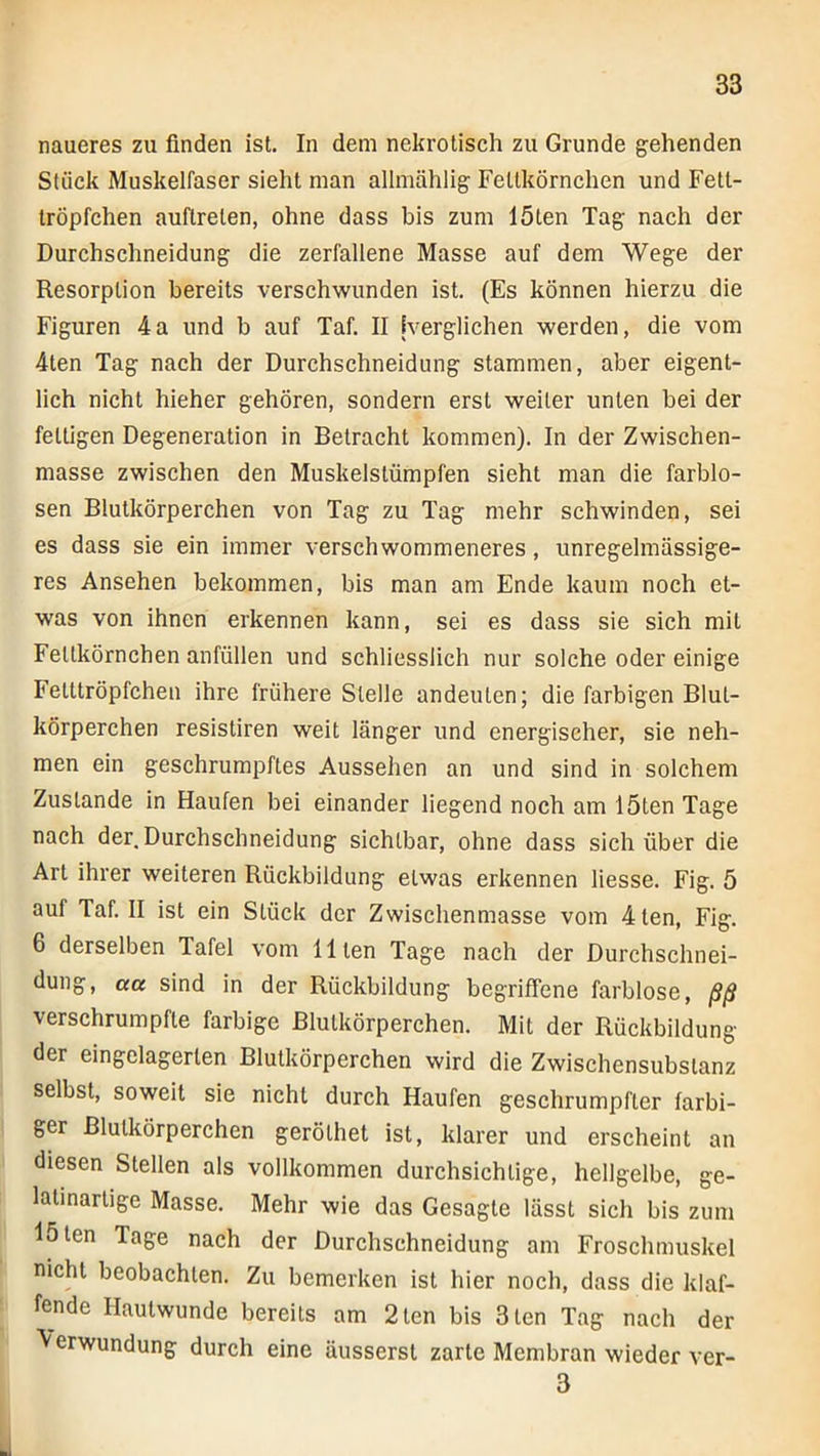 naueres zu finden ist. In dem nekrotisch zu Grunde gehenden Stück Muskelfaser sieht man allmählig Fellkörnchen und Fetl- Iröpfchen auftrelen, ohne dass bis zum löten Tag nach der Durchschneidung die zerfallene Masse auf dem Wege der Resorption bereits verschwunden ist. (Es können hierzu die Figuren 4a und b auf Taf. II [verglichen werden, die vom 4ten Tag nach der Durchschneidung stammen, aber eigent- lich nicht hieher gehören, sondern erst weiter unten bei der fettigen Degeneration in Betracht kommen). In der Zwischen- masse zwischen den Muskelstümpfen sieht man die farblo- sen Blutkörperchen von Tag zu Tag mehr schwinden, sei es dass sie ein immer verschwommeneres, unregelmässige- res Ansehen bekommen, bis man am Ende kaum noch et- was von ihnen erkennen kann, sei es dass sie sich mit Feltkörnchen anfüllen und schliesslich nur solche oder einige Fetttröpfchen ihre frühere Stelle andeuten; die farbigen Blut- körperchen resistiren weit länger und energischer, sie neh- men ein geschrumpftes Aussehen an und sind in solchem Zustande in Haufen bei einander liegend noch am löten Tage nach der. Durchschneidung sichtbar, ohne dass sich über die Art ihrer weiteren Rückbildung etwas erkennen Hesse. Fig. ö auf Taf. II ist ein Stück der Zwischenmasse vom 4ten, Fig. 6 derselben Tafel vom Illen Tage nach der Durchschnei- dung, aa sind in der Rückbildung begrifTene farblose, ßß verschrumpfte farbige Blutkörperchen. Mit der Rückbildung der eingelagerten Blutkörperchen wird die Zwischensubslanz selbst, soweit sie nicht durch Haufen geschrumpfter farbi- ger Blutkörperchen gerölhet ist, klarer und erscheint an diesen Stellen als vollkommen durchsichtige, hellgelbe, ge- latinartige Masse. Mehr wie das Gesagte lässt sich bis zum löten Tage nach der Durchschneidung am Froschmuskel nicht beobachten. Zu bemerken ist hier noch, dass die klaf- fende Hautwunde bereits am 2 len bis 3 len Tag nach der Verwundung durch eine äusserst zarte Membran wieder ver- 3