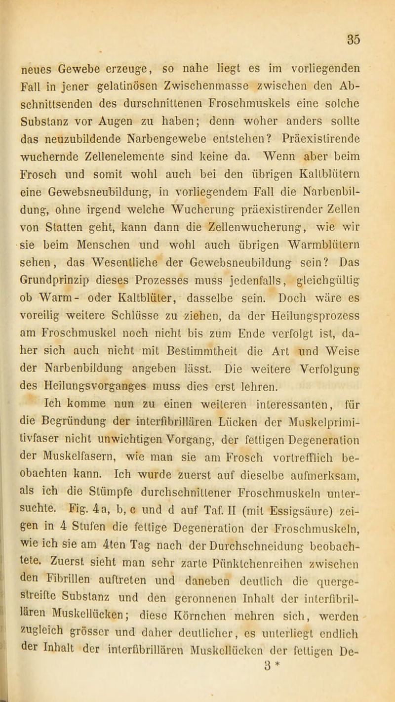 neues Gewebe erzeuge, so nahe liegt es im vorliegenden Fall in jener gelatinösen Zwischenmasse zwischen den Ab- schnittsenden des durschnittenen Froschmuskels eine solche Substanz vor Augen zu haben; denn woher anders sollte das neuzubildende Narbengewebe entstehen? Präexistirende wuchernde Zellenelemente sind keine da. Wenn aber beim Frosch und somit wohl auch bei den übrigen Kaltblütern eine Gewebsneubildung, in vorliegendem Fall die Narbenbil- dung, ohne irgend welche Wucherung präexislirender Zellen von Statten geht, kann dann die Zellenwucherung, wie wir sie beim Menschen und wohl auch übrigen Warmblütern sehen, das Wesentliche der Gewebsneubildung sein? Das Grundprinzip dieses Prozesses muss jedenfalls, gleichgültig ob Warm- oder Kaltblüter, dasselbe sein. Doch wäre es voreilig weitere Schlüsse zu ziehen, da der Heilungsprozess am Froschmuskel noch nicht bis zum Ende verfolgt ist, da- her sich auch nicht mit Bestimmtheit die Art und Weise der Narbenbildung angeben lässt. Die weitere Verfolgung des Heilungsvorganges muss dies erst lehren. Ich komme nun zu einen weiteren interessanten, für die Begründung der inlcrfibrillären Lücken der Muskelprimi- tivfaser nicht unwichtigen Vorgang, der fettigen Degeneration der Muskelfasern, wie man sie am Frosch vortrefflich be- obachten kann. Ich wurde zuerst auf dieselbe aufmerksam, als ich die Stümpfe durchschnittener Froschmuskeln unter- suchte. Fig. 4a, b, c und d auf Taf. II (mit Essigsäure) zei- gen in 4 Stufen die fettige Degeneration der Froschmuskeln, wie ich sie am 4ten Tag nach der Durchschneidung beobach- tete. Zuerst sieht man sehr zarte Pünktchenreihen zwischen den Fibrillen auftreten und daneben deutlich die querge- streifte Substanz und den geronnenen Inhalt der intcrfibril- lären Muskellücken; diese Körnchen mehren sich, werden zugleich grösser und daher deutlicher, es unterliegt endlich der Inhalt der interfibrillären Muskcllückcn der fettigen De- 3 *