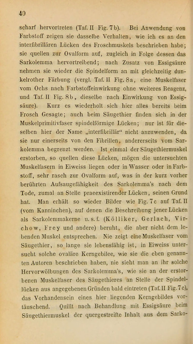 scharf hervorlreten (Taf. II Fig. 7 b). Bei Anwendung von Farbsloff zeigen sie dasselbe Verhallen, wie ich es an den interfibrillären Lücken des Froschmuskels beschrieben habe; sie quellen zur Ovalform auf, zugleich in Folge dessen das Sarkolemma hervorlreibend; nach Zusatz von Essigsäure nehmen sie wieder die Spindelform an mit gleichzeitig dun- kelrolher Färbung (vergl. Taf. II Fig. 8a, eine Muskelfaser vom Ochs nach Farbsloffeinwirkung ohne weiteres Reagenz, und Taf. II Fig. 8b, dieselbe nach Einwirkung von Essig- säure). Kurz es wiederholt sich hier alles bereits beim Frosch Gesagte; auch beim Säugethier finden sich in der Muskelprimilivfaser spindelförmige Lücken; nur ist für die- selben hier der Name „interfibrillär“ nicht anzuwenden, da sie nur einerseits von den Fibrillen, andererseits vom Sar- kolemma begrenzt werden. Ist einmal der Säugethiermuskel erstorben, so quellen diese Lücken, mögen die untersuchten Muskelfasern in Eiweiss liegen oder in Wasser oder in Farb- stoff, sehr rasch zur Ovalform auf, w-as in der kurz vorher berührten Aufsaugefähigkeit des Sarkolemma’s nach dem Tode, zumal an Stelle praeexistirender Lücken, seinen Grund hat. Man erhält so wieder Bilder wie Fig. 7c auf Taf. II (vom Kanninchen), auf denen die Beschreibung jener Lücken als Sarkolemmakerne u. s. f. (K öl liker, Gerlach, Vir- chow, Frey und andere) beruht, die aber nicht dem le- benden Muskel entsprechen. Nie zeigt eine Muskelfaser vom Säugethier, so lange sie lebensfähig ist, in Eiweiss unter- sucht solche ovaläre Kerngebilee, wie sie die eben genann- ten Autoren beschrieben haben, nie sieht man an ihr solche Hervorwölbungen des Sarkolemma’s, wie sie an der erstor- benen Muskelfaser des Säugethieres an Stelle der Spindel- lücken aus angegebenen Gründen bald einlrelen (Taf. II Fig. 7c), das Vorhandensein eines hier liegenden Kerngebildes vor- läuschend. Quillt nach Behandlung mit Essigsäure beim Säugethiermuskel der quergestreifte Inhalt aus dem Sarko-