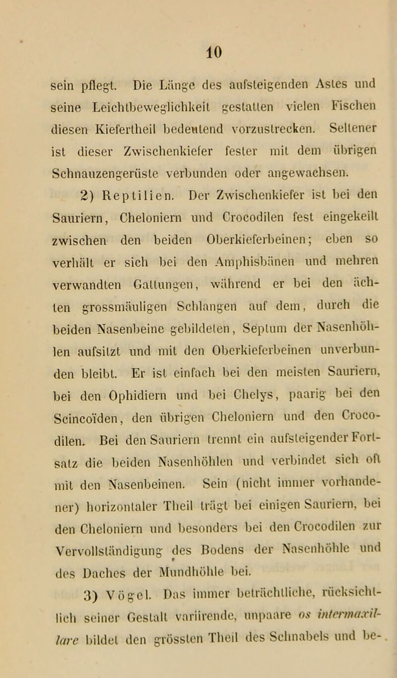 sein pflegt. Die Länge des ansteigenden Astes und seine Leichtbeweglichkeit gestatten vielen Fischen diesen Kieferlheil bedeutend vorzuslrecken. Seltener ist dieser Zwischenkiefer fester mit dem übrigen Schnauzengerüste verbunden oder angewachsen. 2) Reptilien. Der Zwischenkiefer ist bei den Sauriei'n, Cheloniern und Crocodilen fest eingekeilt zwischen den beiden Oberkieferbeinen; eben so verhält er sich bei den Amphisbünen und mehren verwandten Gattungen, während er bei den äch- ten grossmäuligen Schlangen auf dem, durch die beiden Nasenbeine gebildeten, Septum der Nasenhöh- len aufsilzt und mit den Oberkieferbeinen unverbun- den bleibt. Er ist einfach bei den meisten Sauriern, bei den Ophidiern und bei Chclys, paarig bei den Scincoiden, den übrigen Cheloniern und den Croco- dilen. Bei den Sauriern trennt ein aufsleigendcr Fort- satz die beiden Nasenhöhlen und verbindet sich oft mit den Nasenbeinen. Sein (nicht immer vorhande- ner) horizontaler Theil trägt bei einigen Sauriern, bei den Cheloniern und besonders bei den Crocodilen zur Vervollständigung des Bodens der Nasenhöhle und des Daches der Mundhöhle bei. 3) Vögel. Das immer beträchtliche, rücksichl- Iich seiner Gestalt variirende, unpaare os intermaxil- lare bildet den grössten Theil des Schnabels und be-