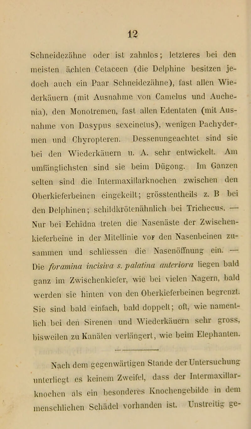 Schneidezähne oder ist zahnlos; letzteres bei den meisten ächten Celacecn (die Delphine besitzen je- doch auch ein Paar Schneidezähne), last allen Wie- derkäuern (mit Ausnahme von Camelus und Auche- nia), den Monolremen, fast allen Edentalen (mit Aus- nahme von Dasypus sexcinclus), wenigen Pachyder- men und Chyropleren. Dessenungeachtet sind sie bei den Wiederkäuern u. A. sehr entwickelt. Am umfänglichsten sind sie beim Diigong. Im Ganzen selten sind die Intermaxillarknochen zwischen den Oberkieferbeinen eingekeilt; grösstenlheils z. B bei den Delphinen; schildkrölcnähnlich bei Trichecus. — Nur bei Echidna treten die Nasenäste der Zwischen- kieferbeine in der Mileilinie vor den Nasenbeinen zu- sammen und schliessen die Nasenöffhung ein. — Die foramina incisiva s. palatina anteriora liegen bald ganz im Zwischenkiefer, wie bei vielen Nagern, bald werden sie hinten von den Oberkieferbeinen begrenzt. Sie sind bald einfach, bald doppelt; oh, wie nament- lich bei den Sirenen und Wiederkäuern sehr gross, bisweilen zu Kanälen verlängert, wie beim Elephanlen. Nach dem gegenwärtigen Stande der Untersuchung unterliegt cs keinem Zweifel, dass der Inlermaxillar- knochen als ein besonderes Knochcngcbiide in dem menschlichen Schädel vorhanden ist. Unstreitig ge-