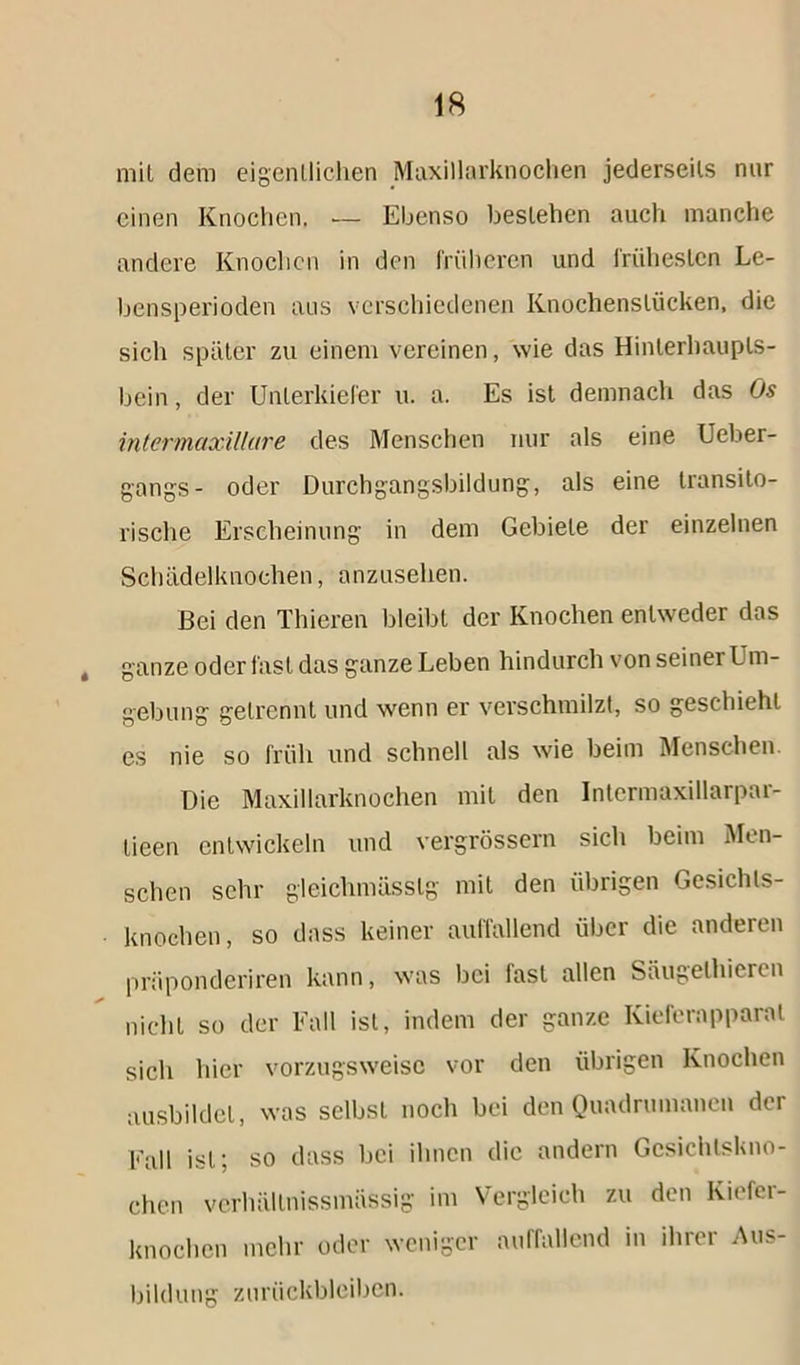 mit dem eigentlichen Maxillarknochen jederseils nur einen Knochen. — Ebenso bestehen auch manche andere Knochen in den früheren und frühesten Le- bensperioden aus verschiedenen Knochenslücken, die sich später zu einem vereinen, wie das Hinterhaupts- bein, der Unterkiefer u. a. Es ist demnach das Os intermaxillare des Menschen nur als eine Ueber- gangs- oder Durchgangsbildung, als eine transito- rische Erscheinung in dem Gebiete der einzelnen Schädelknochen, anzusehen. Bei den Thieren bleibt der Knochen entweder das ganze oder fast das ganze Leben hindurch von seiner Um- gebung getrennt und wenn er verschmilzt, so geschieht es nie so früh und schnell als wie beim Menschen. Die Maxillarknochen mit den Intermaxillarpar- lieen entwickeln und vergrössern sich beim Men- schen sehr gleichmässlg mit den übrigen Gesichls- knochen, so dass keiner auffallend über die anderen präponderiren kann, was bei fast allen Säugelhiercn nicht so der Fall ist, indem der ganze Ivieferapparal sich hier vorzugsweise vor den übrigen Knochen ausbildet, was selbst noch bei den Quadrumanen der Fall ist; so dass bei ihnen die andern Gcsichlskno- chcn verhältnissmässig im Vergleich zu den Kiefer- knochen mehr oder weniger auffallend in ihrer Aus- bildung Zurückbleiben.