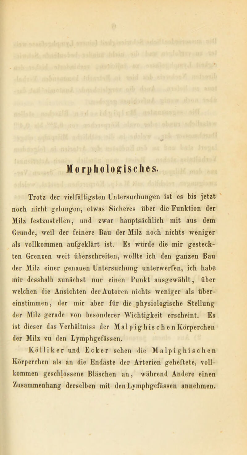 Morphologisches. Trotz der vielfältigsten Untersuchungen ist es bis jetzt noch nicht gelungen, etwas Sicheres über die Funktion der Milz festzustellen, und zwar hauptsächlich mit aus dem Grunde, weil der feinere Bau der Milz noch nichts weniger als vollkommen aufgeklärt ist. Es würde die mir gesteck- ten Grenzen weit überschreiten, wollte ich den ganzen Bau der Milz einer genauen Untersuchung unterwerfen, ich habe mir desshalb zunächst nur einen Punkt ausgewählt, über welchen die Ansichten der Autoren nichts weniger als über- einstimmen, der mir aber für die physiologische Stellung der Milz gerade von besonderer Wichtigkeit erscheint. Es ist dieser das Vcrhältniss der Malp ig his c h c n Körperchen der Milz zu den Lymphgefässen. Kölliker und Ecker sehen die Malpighischen Körperchen als an die Endäste der Arterien geheftete, voll- kommen geschlossene Bläschen an, während Andere einen Zusammenhang derselben mit den Lymphgefässen annehmen.