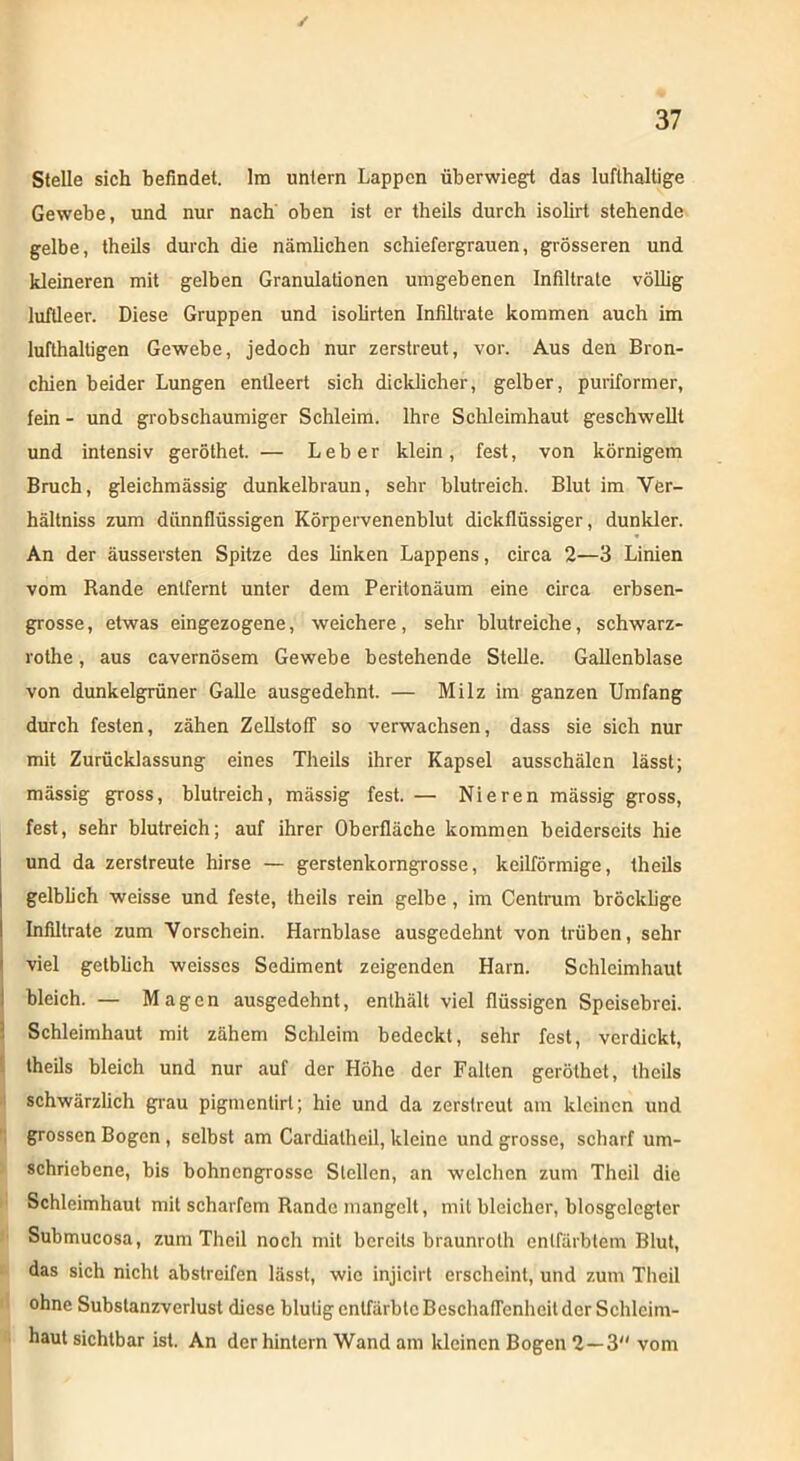 Stelle sich befindet. Im untern Lappen überwiegt das lufthaltige Gewebe, und nur nach oben ist er theils durch isolirt stehende gelbe, theils durch die nämlichen schiefergrauen, grösseren und kleineren mit gelben Granulationen umgebenen Infiltrate völlig luftleer. Diese Gruppen und isolirten Infiltrate kommen auch im lufthaltigen Gewebe, jedoch nur zerstreut, vor. Aus den Bron- chien beider Lungen entleert sich dicklicher, gelber, puriformer, fein - und grobschaumiger Schleim. Ihre Schleimhaut geschwellt und intensiv geröthet. — Leber klein, fest, von körnigem Bruch, gleichmässig dunkelbraun, sehr blutreich. Blut im Ver- hältniss zum dünnflüssigen Körpervenenblut dickflüssiger, dunkler. An der äussersten Spitze des linken Lappens, circa 2—3 Linien vom Rande entfernt unter dem Peritonäum eine circa erbsen- grosse , etwas eingezogene, weichere, sehr blutreiche, schwarz- rothe, aus cavernösem Gewebe bestehende Stelle. Gallenblase von dunkelgrüner Galle ausgedehnt. — Milz im ganzen Umfang durch festen, zähen Zellstoff so verwachsen, dass sie sich nur mit Zurücklassung eines Theils ihrer Kapsel ausschälen lässt; mässig gross, blutreich, mässig fest. — Nieren massig gross, fest, sehr blutreich; auf ihrer Oberfläche kommen beiderseits hie und da zerstreute hirse — gerstenkorngrosse, keilförmige, theils gelblich weisse und feste, theils rein gelbe, im Centrum bröcklige Infiltrate zum Vorschein. Harnblase ausgedehnt von trüben, sehr viel getblich weisses Sediment zeigenden Harn. Schleimhaut bleich. — Magen ausgedehnt, enthält viel flüssigen Speisebrei. Schleimhaut mit zähem Schleim bedeckt, sehr fest, verdickt, theils bleich und nur auf der Höhe der Falten geröthet, theils schwärzlich grau pigmentirt; hie und da zerstreut am kleinen und grossen Bogen, selbst am Cardiatheil, kleine und grosse, scharf um- schriebene, bis bohnengrosse Stellen, an welchen zum Theil die Schleimhaut mit scharfem Rande mangelt, mit bleicher, blosgclcgter Submucosa, zum Theil noch mit bereits braunroth entfärbtem Blut, das sich nicht abstreifen lässt, wie injicirt erscheint, und zum Theil ohne Substanzverlust diese blutig entfärbte Beschaffenheit der Schleim- haut sichtbar ist. An der hintern Wand am kleinen Bogen 2—3 vom