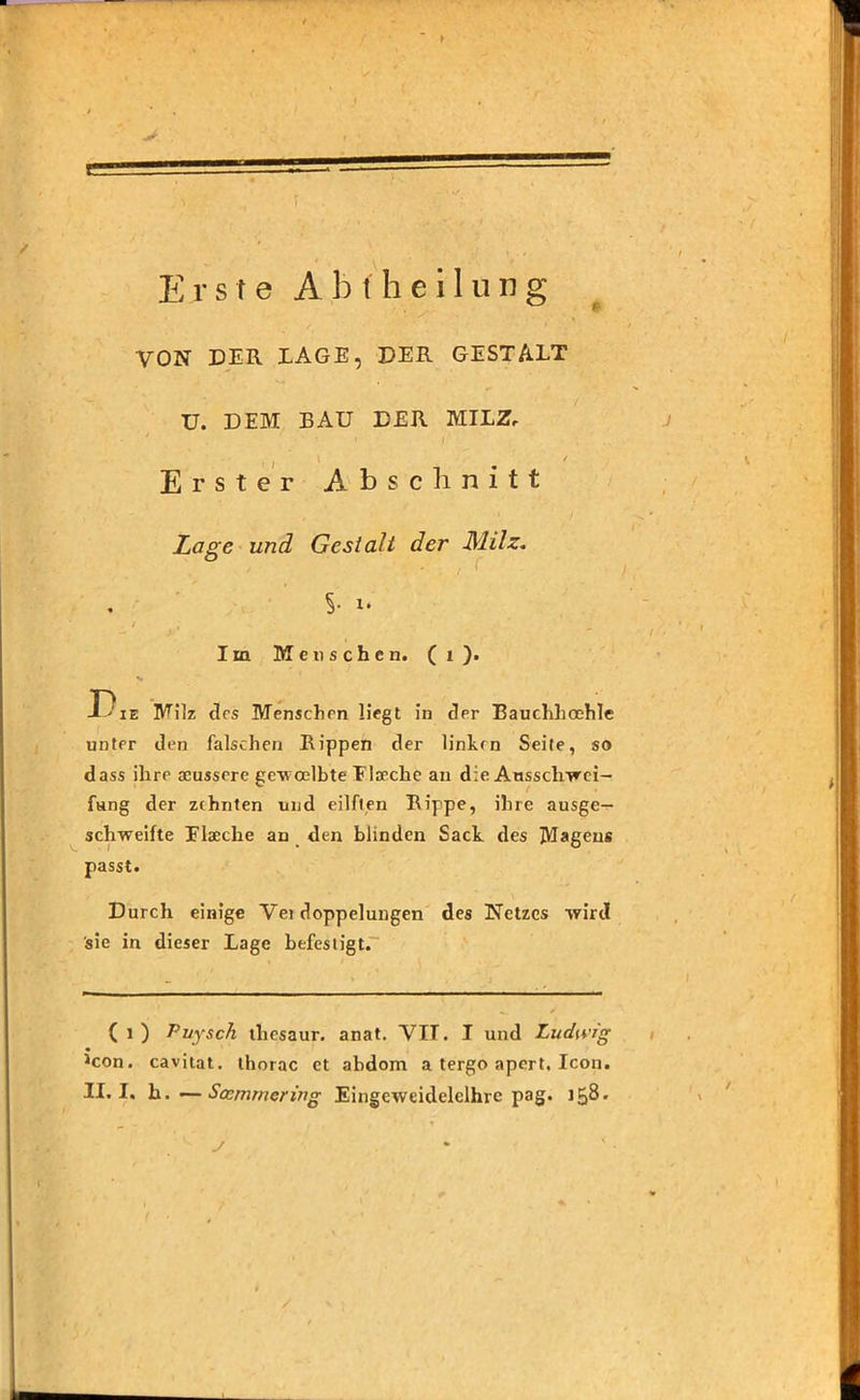 / Erste A b t h e i 1 u n g VON DER LAGE, DER GESTALT U. DEM BAU DER MILZ, I ‘ * / , , ' ' Erster Abschnitt Lage und Gestalt der Milz. S- Im Menschen. (1). J ;ie Milz des Menschen liegt in drr Bauchhoehle unter den falschen Rippen der linken Seite, so dass ihre aeussere gewoelbte Elaeche an die Ausschwei- fung der zehnten und eilften Rippe, ihre ausge^- schweifte Elaeche an den blinden Sack des Magens passt. Durch einige Vei doppelungen des Netzes wird sie in dieser Lage befestigt. ( 1 ) Puysch tliesaur. anat. VII. I und Ludwig 1con. cavitat. thorac et abdom a tergo apert, Icon. II. I. h.—Scemmering Eingeweidelclhre pag. 158- y